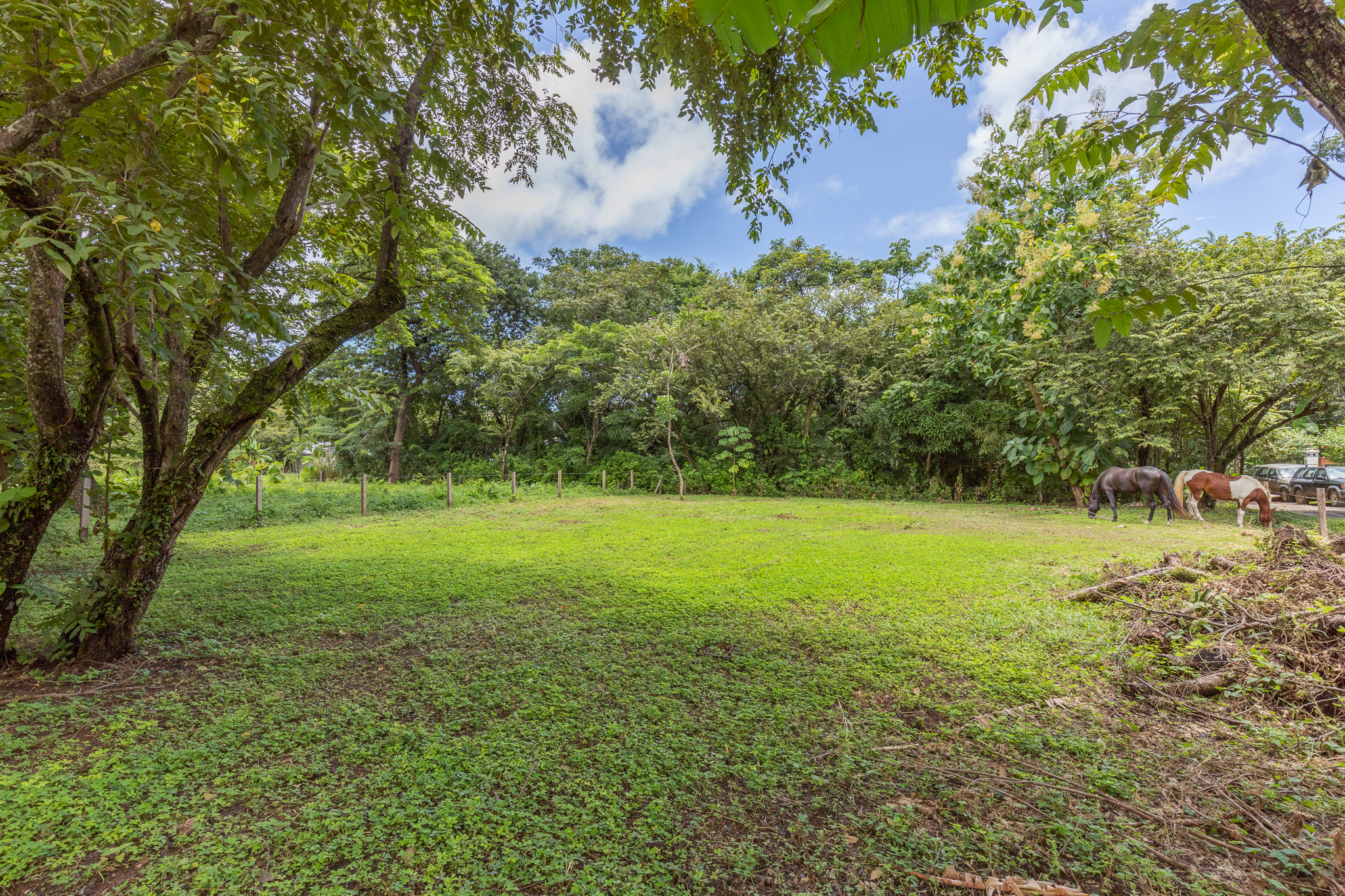 0 bed Land For Sale in Playa Pelada, Guanacaste - thumb 6