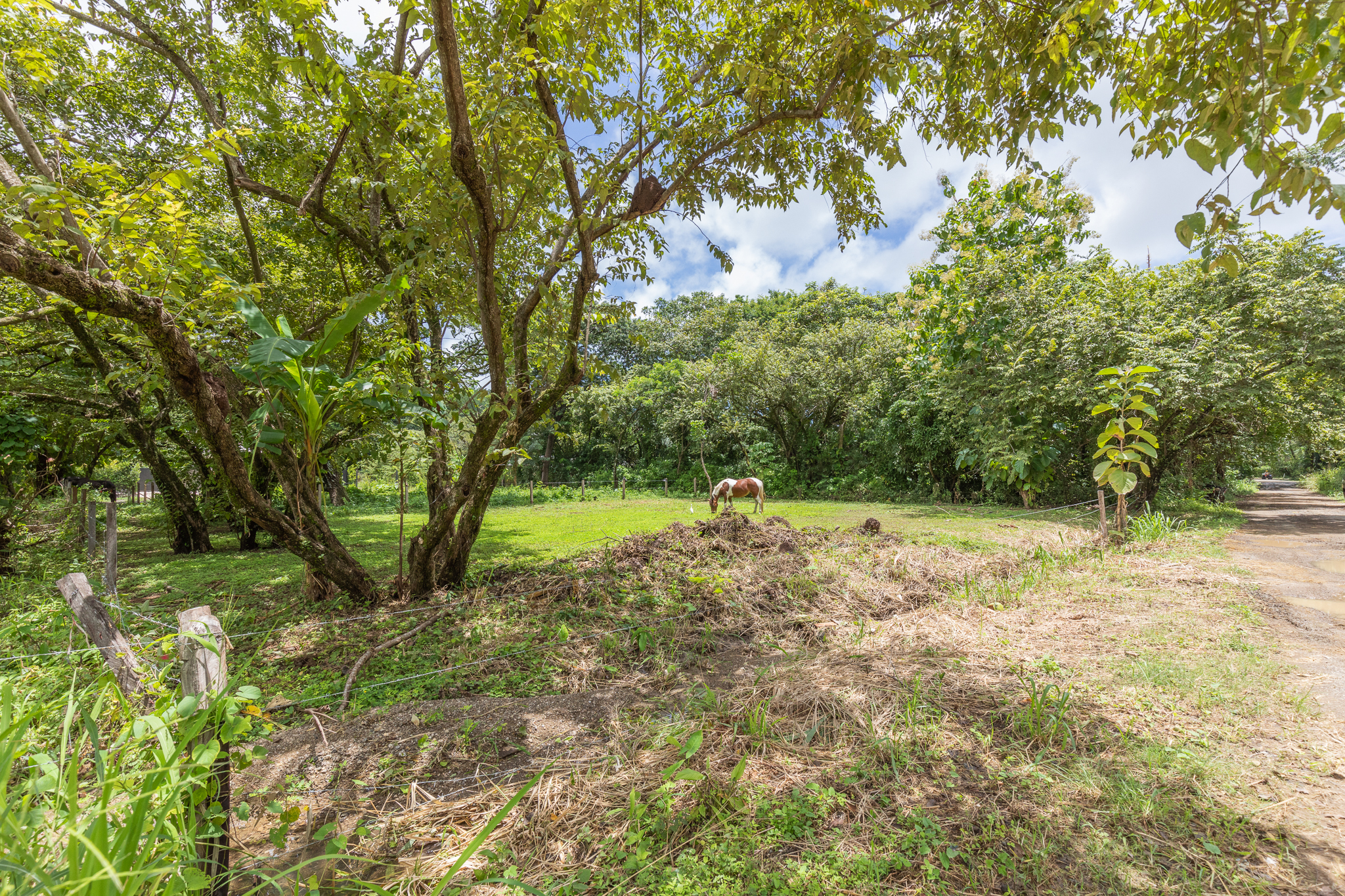 0 bed Land For Sale in Playa Pelada, Guanacaste - thumb 15