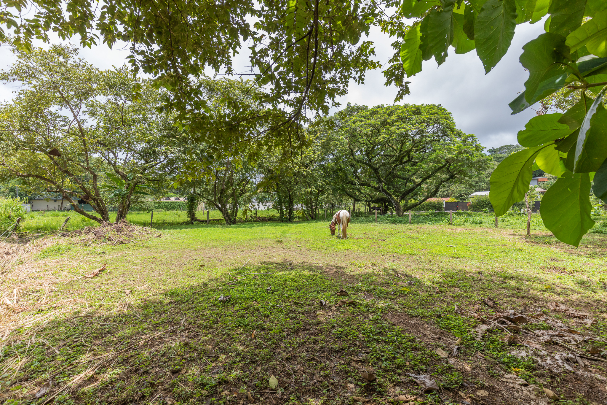 0 bed Land For Sale in Playa Pelada, Guanacaste - thumb 13