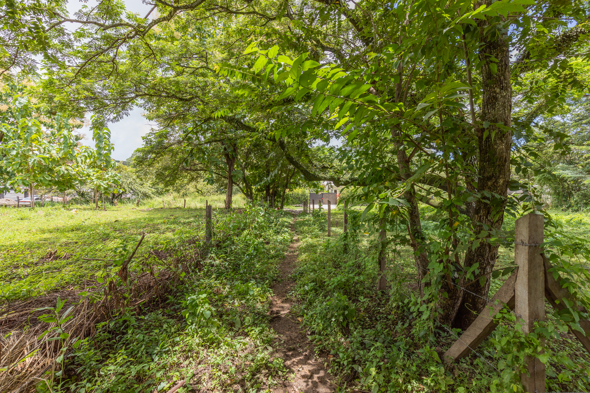 0 bed Land For Sale in Playa Pelada, Guanacaste - thumb 9
