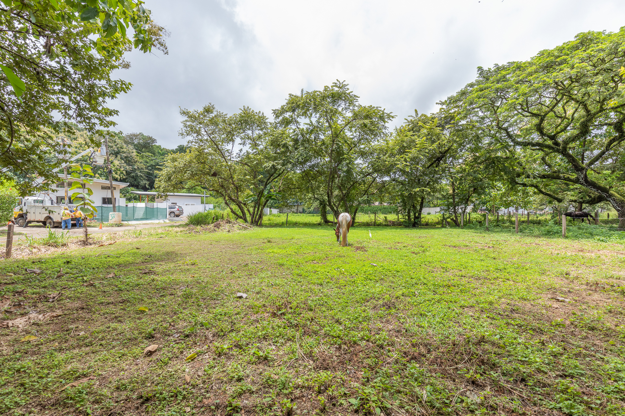 0 bed Land For Sale in Playa Pelada, Guanacaste - thumb 12