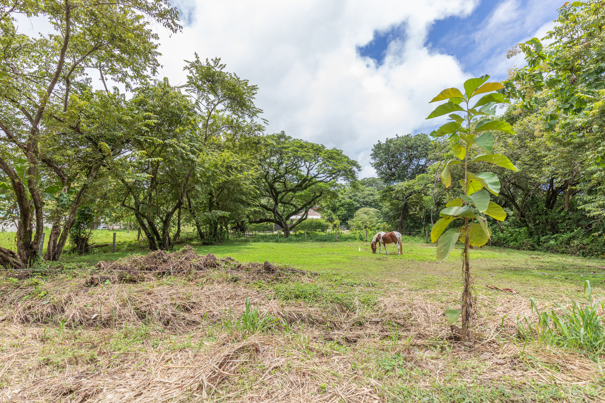 0 bed Land For Sale in Playa Pelada, Guanacaste - thumb 14