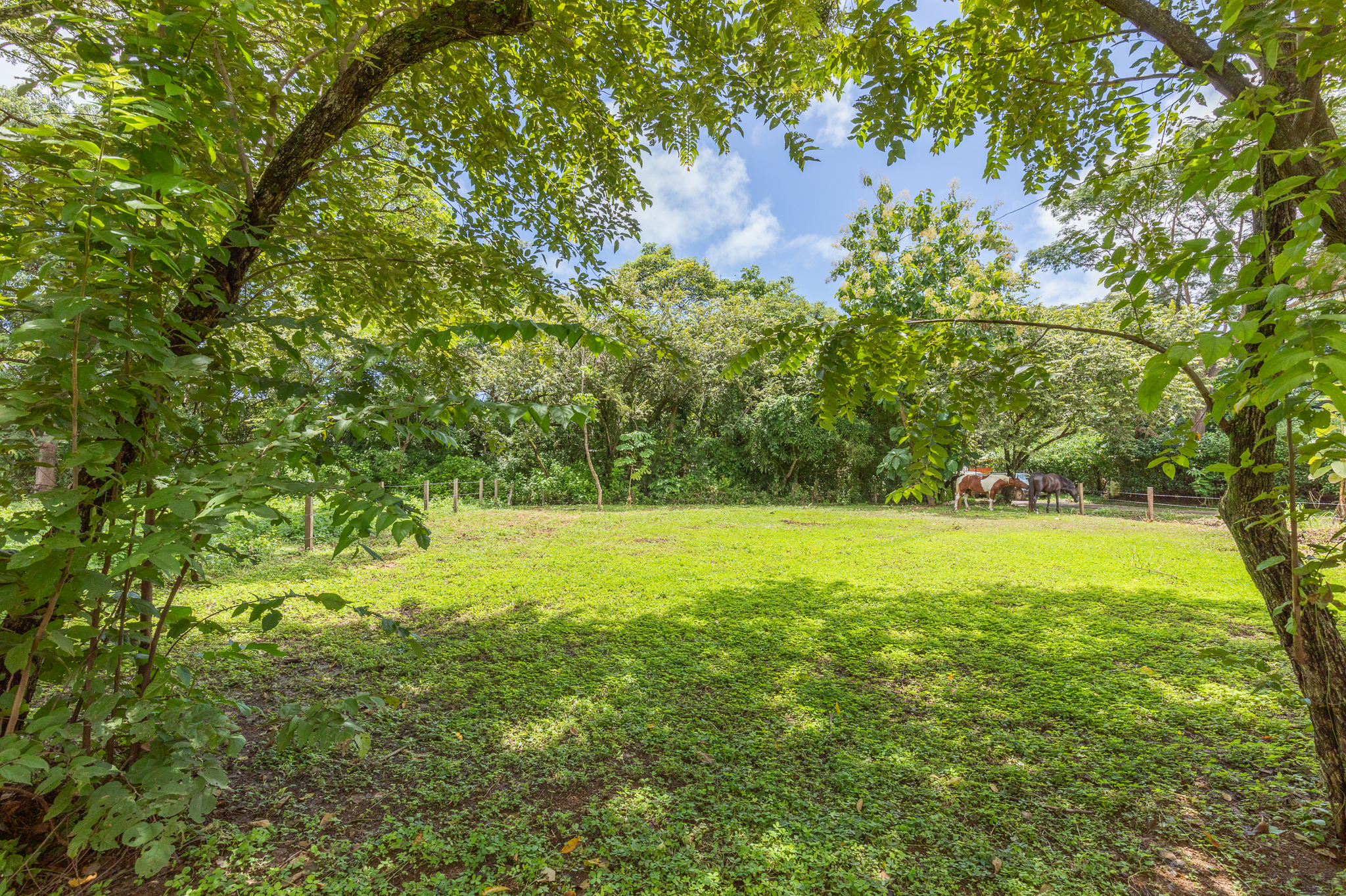 0 bed Land For Sale in Playa Pelada, Guanacaste - thumb 7