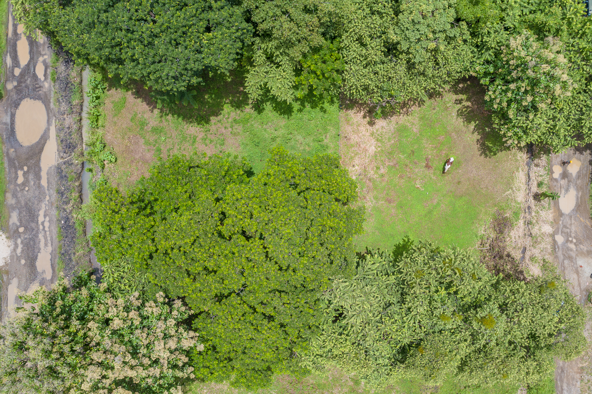 0 bed Land For Sale in Playa Pelada, Guanacaste - thumb 16