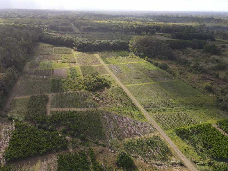 0 bed Land For Sale in Pococi, Limón - 1