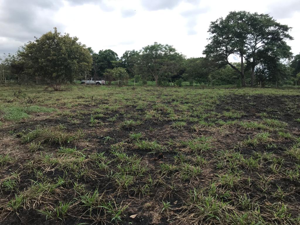 0 bed Land For Sale in Orotina, Alajuela - thumb 8