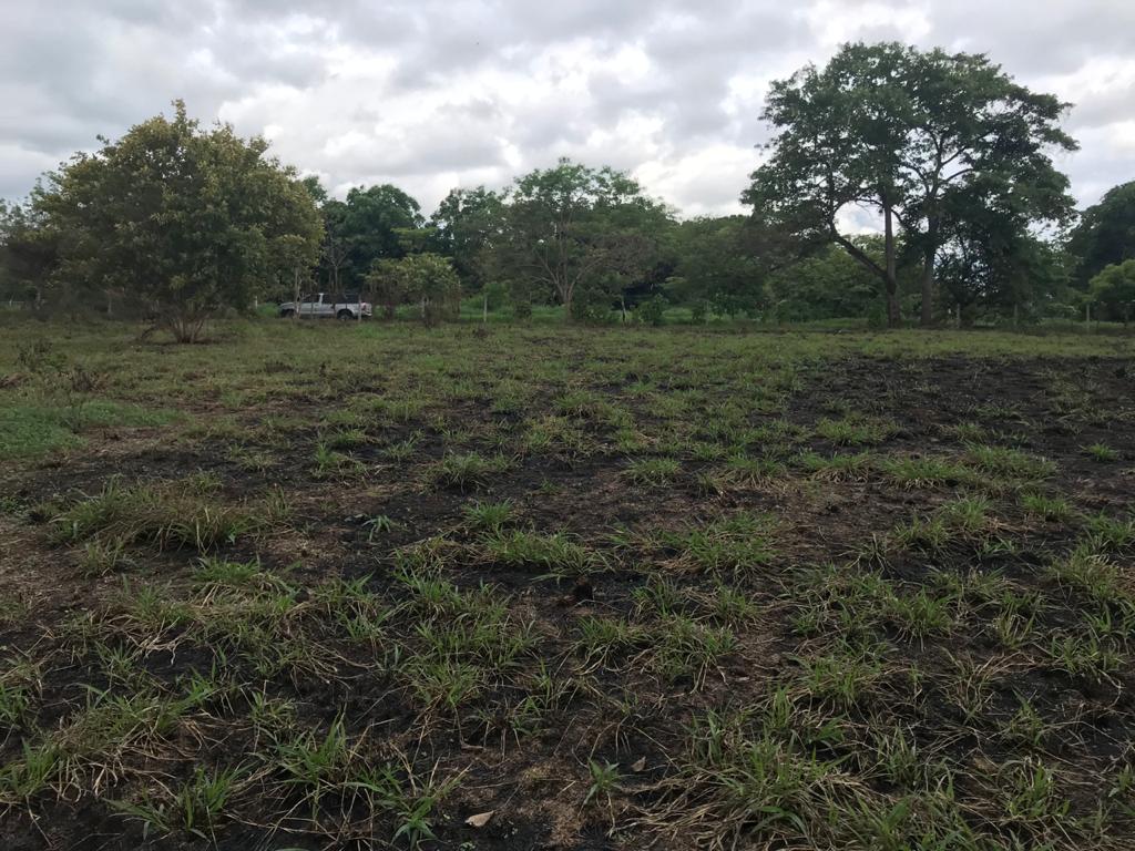 0 bed Land For Sale in Orotina, Alajuela - thumb 4