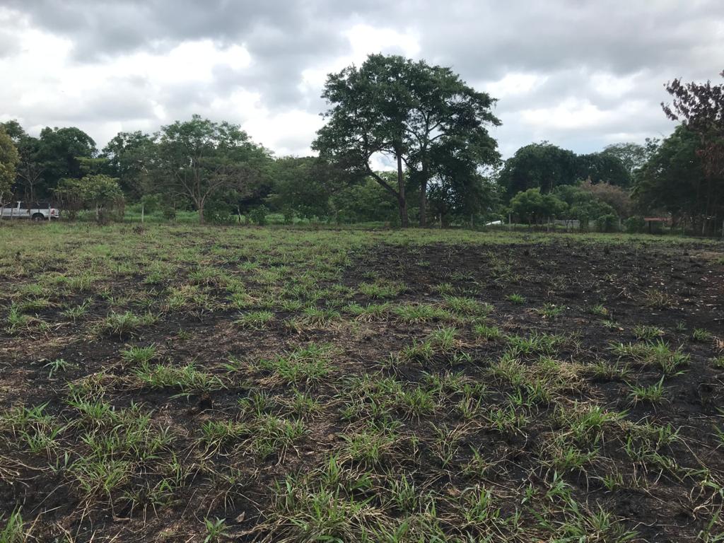 0 bed Land For Sale in Orotina, Alajuela - thumb 3