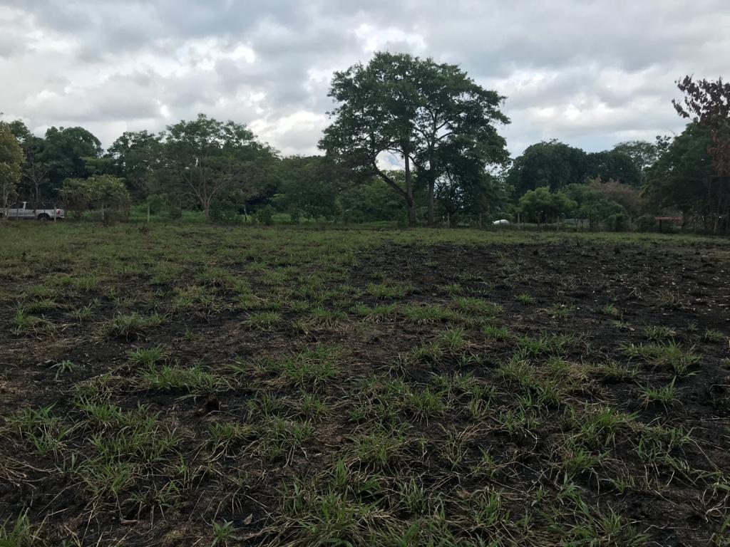 0 bed Land For Sale in Orotina, Alajuela - thumb 5