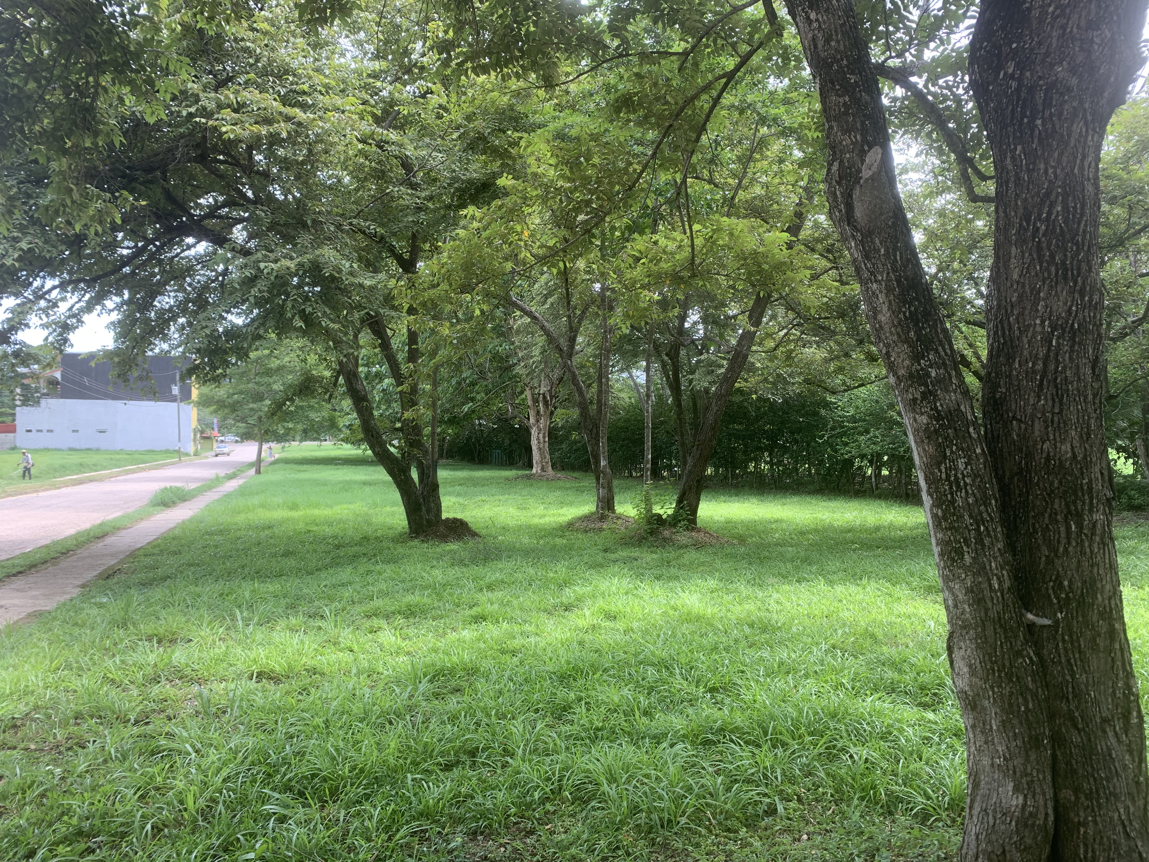 3 bed Single Family Homes For Sale in Tamarindo, Guanacaste - thumb 12