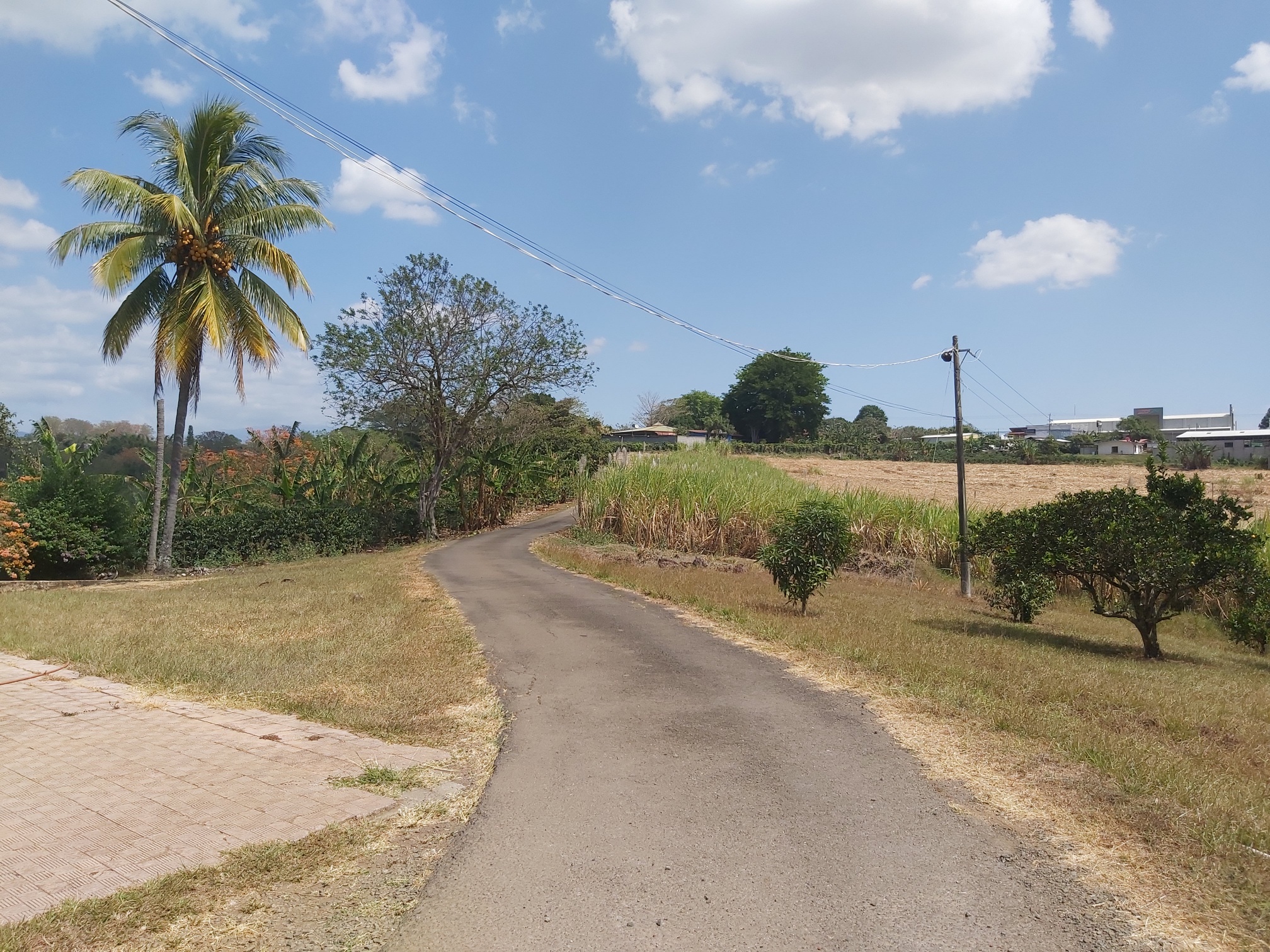 0 bed Land For Sale in Grecia, Alajuela - thumb 3