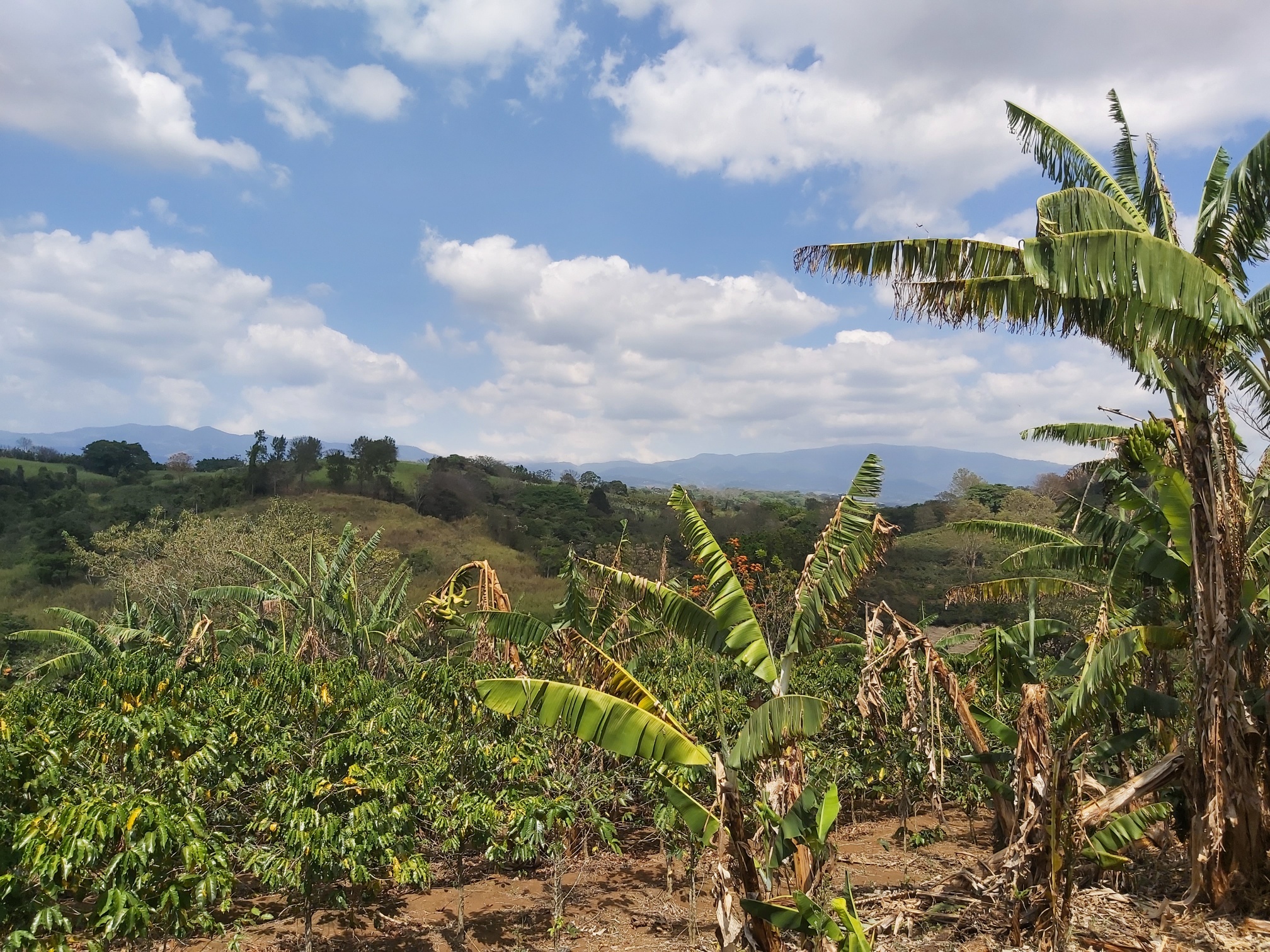 0 bed Land For Sale in Grecia, Alajuela - thumb 1