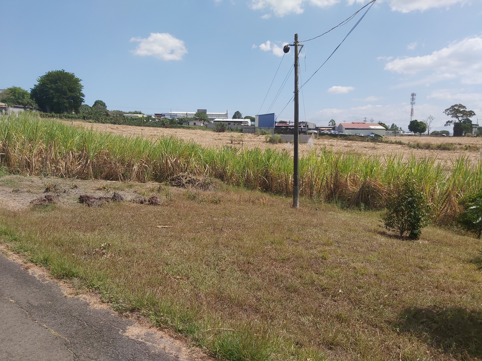 0 bed Land For Sale in Grecia, Alajuela - thumb 4