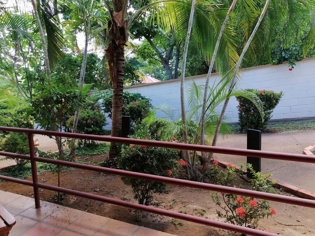 2 bed Condo For Rent in Playas Del Coco, Guanacaste - thumb 7