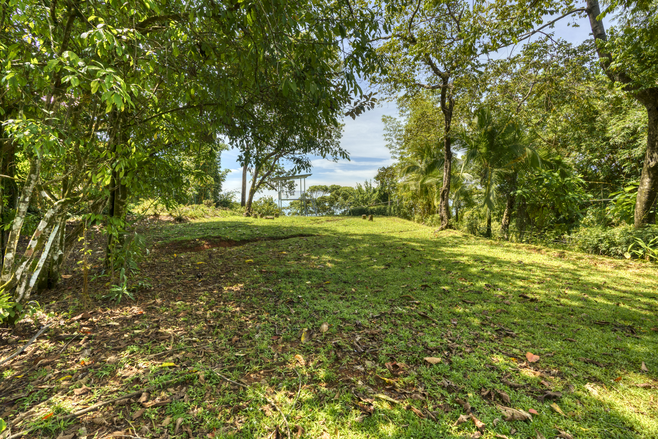 1 bed Single Family Homes For Sale in Dominical, Puntarenas - thumb 22