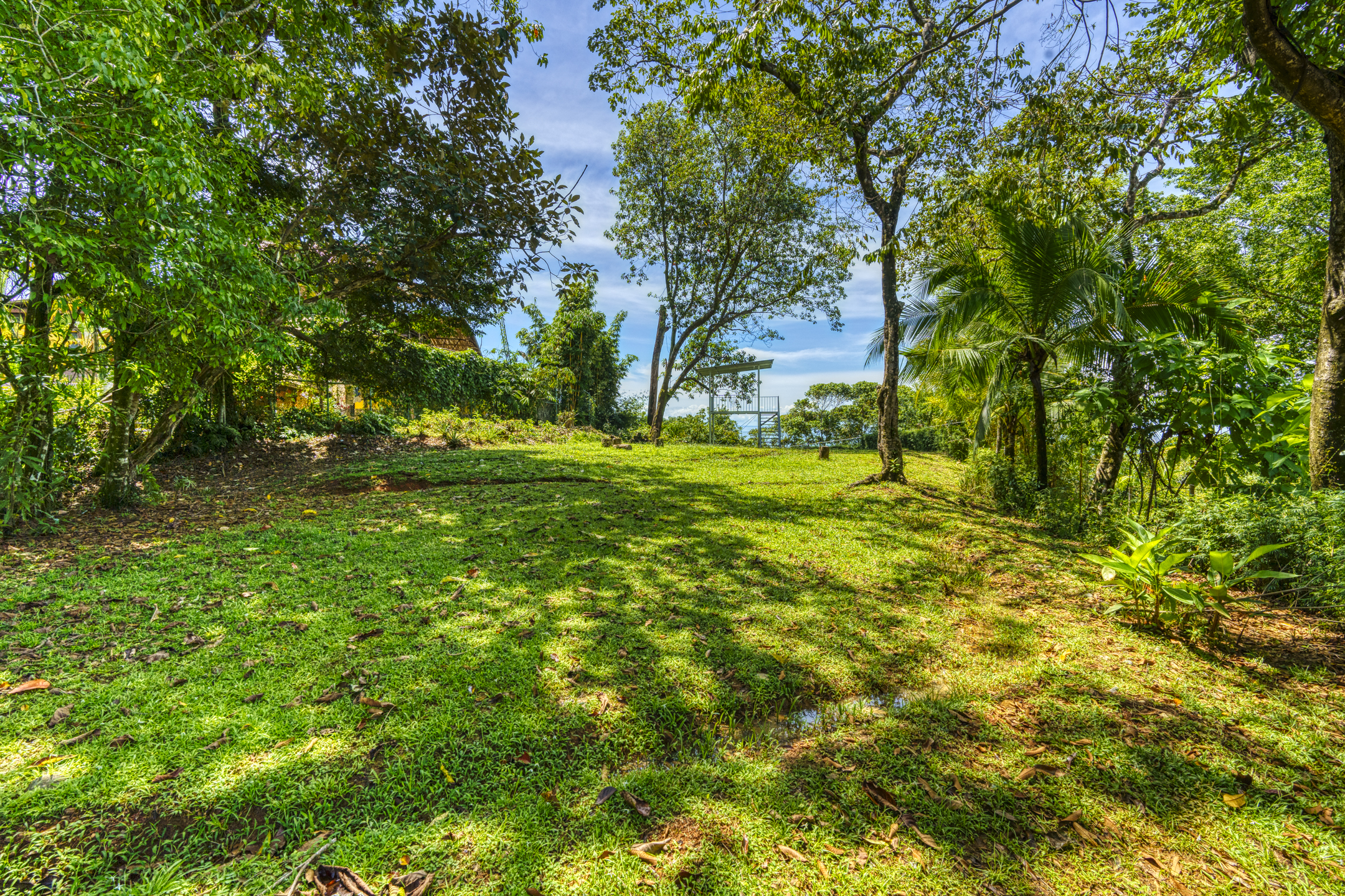 1 bed Single Family Homes For Sale in Dominical, Puntarenas - thumb 21