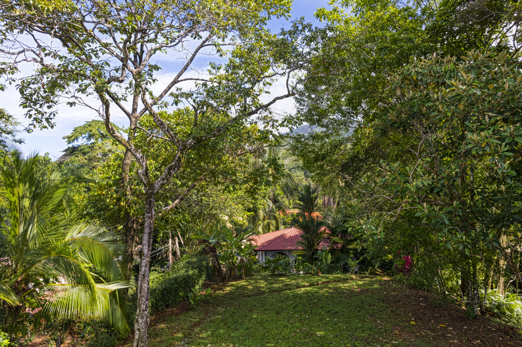 1 bed Single Family Homes For Sale in Dominical, Puntarenas - thumb 16