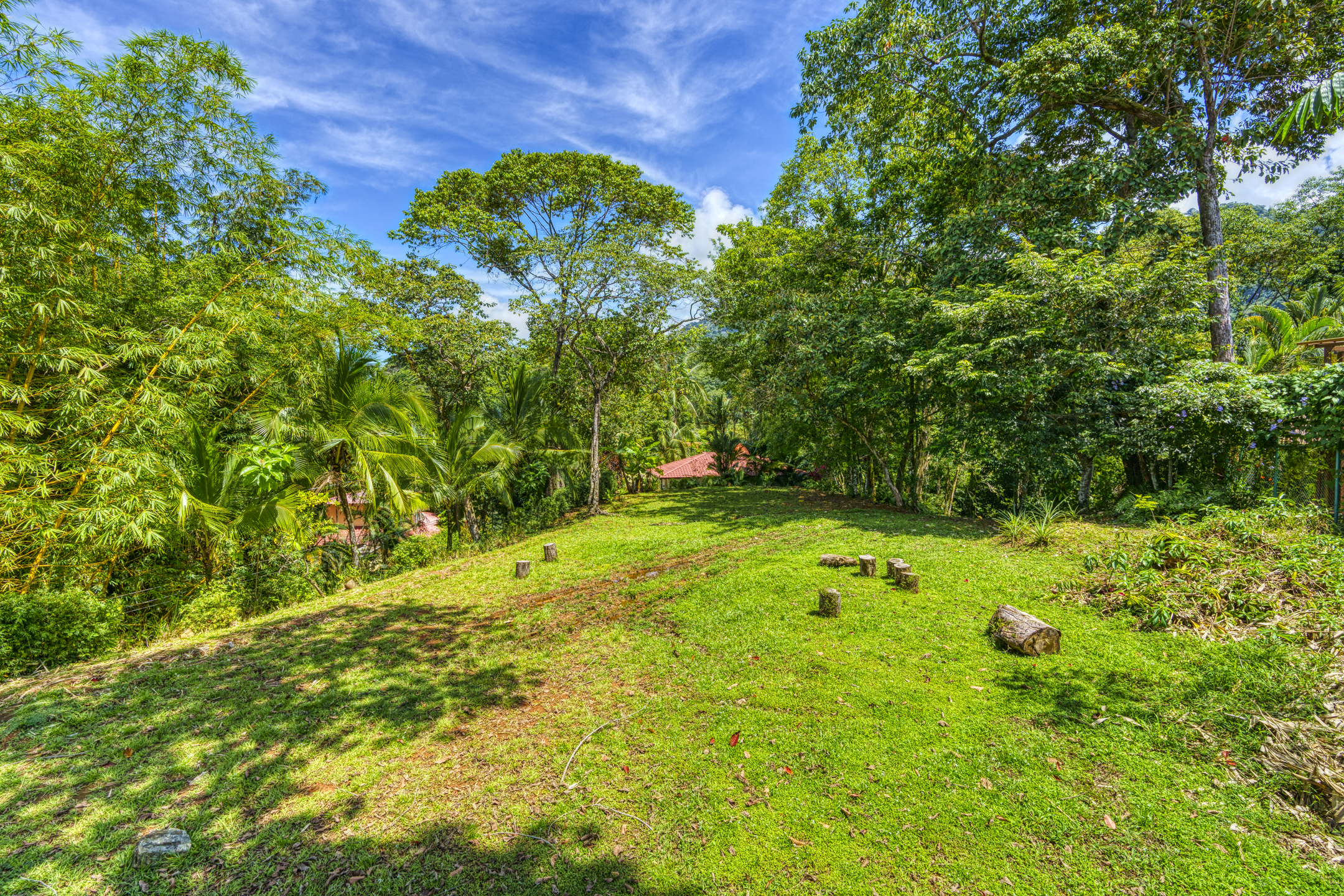 1 bed Single Family Homes For Sale in Dominical, Puntarenas - thumb 28