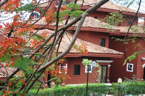 4 bed Condo For Sale in Playas Del Coco, Guanacaste - thumb 5