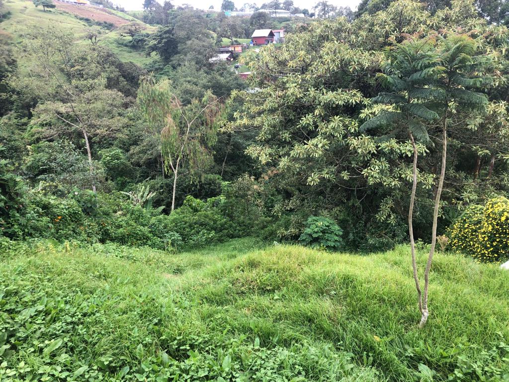 3 bed Single Family Homes For Sale in Coronado, San Jose - thumb 10