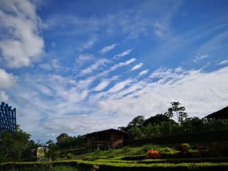 5 bed Single Family Homes For Sale in Orotina, Alajuela - thumb 2