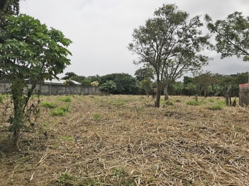 0 bed Land For Sale in Santo Domingo, Heredia - 1