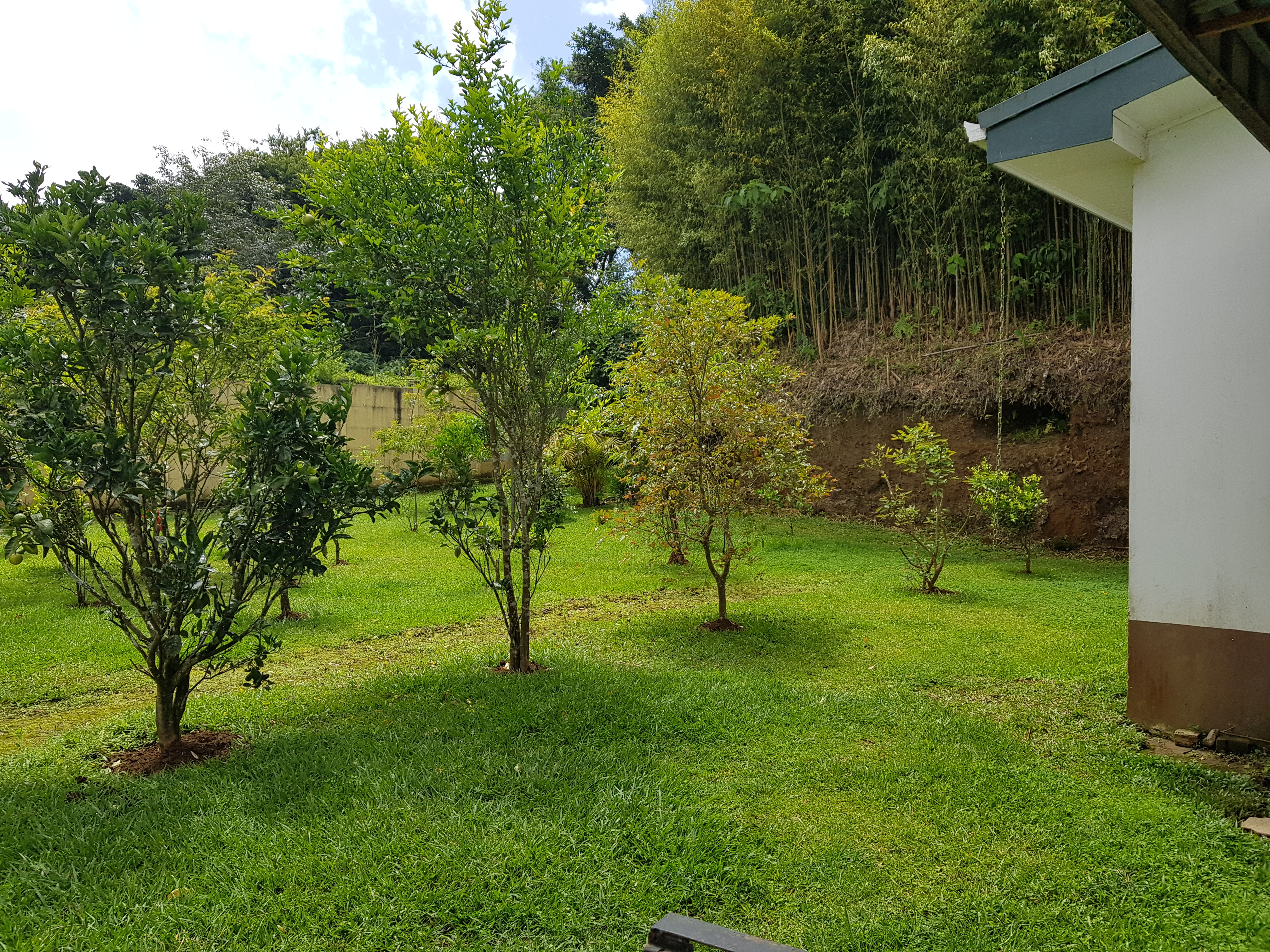 5 bed Single Family Homes For Sale in San Ramón, Cartago - thumb 24