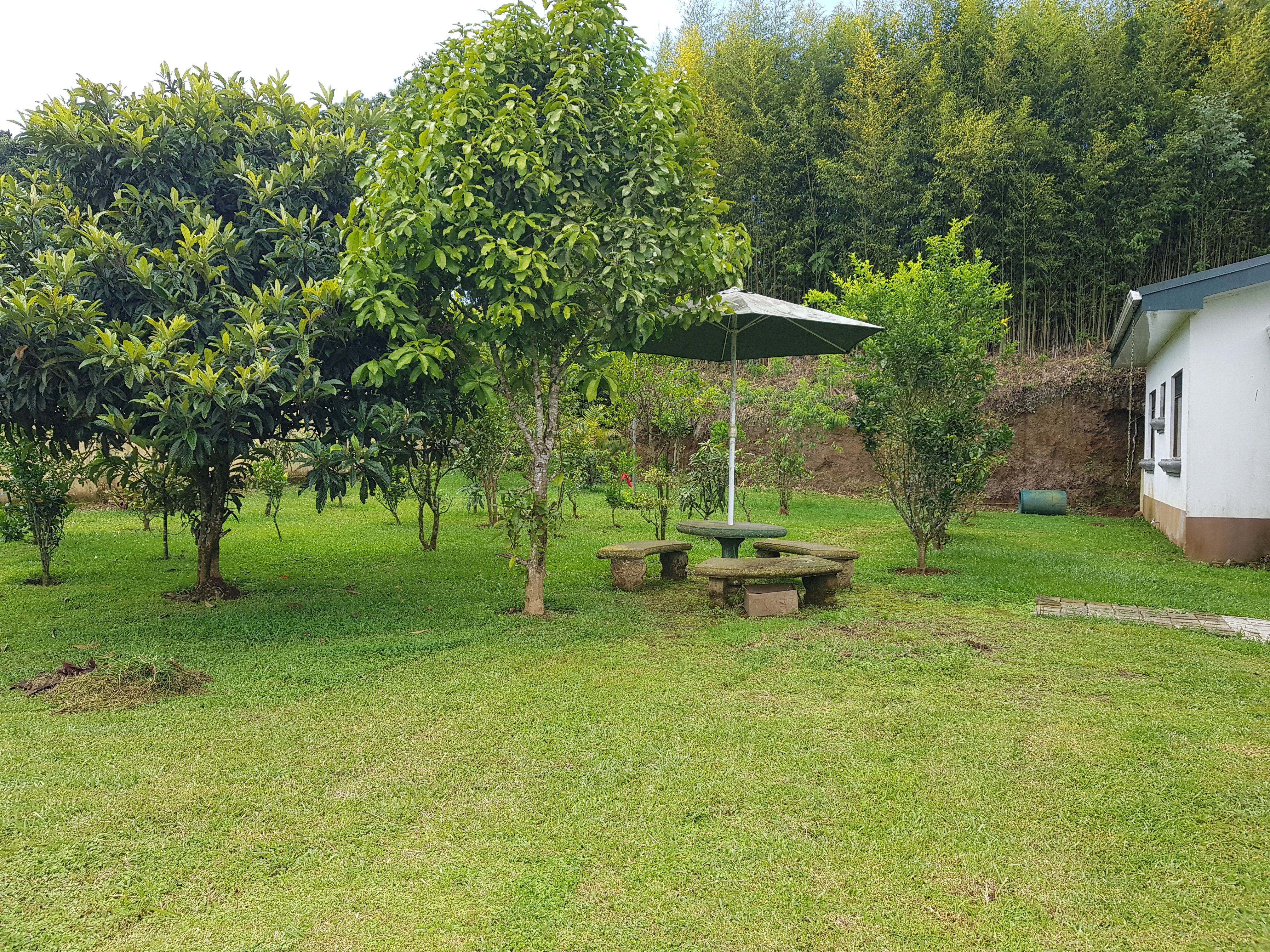 5 bed Single Family Homes For Sale in San Ramón, Cartago - thumb 30