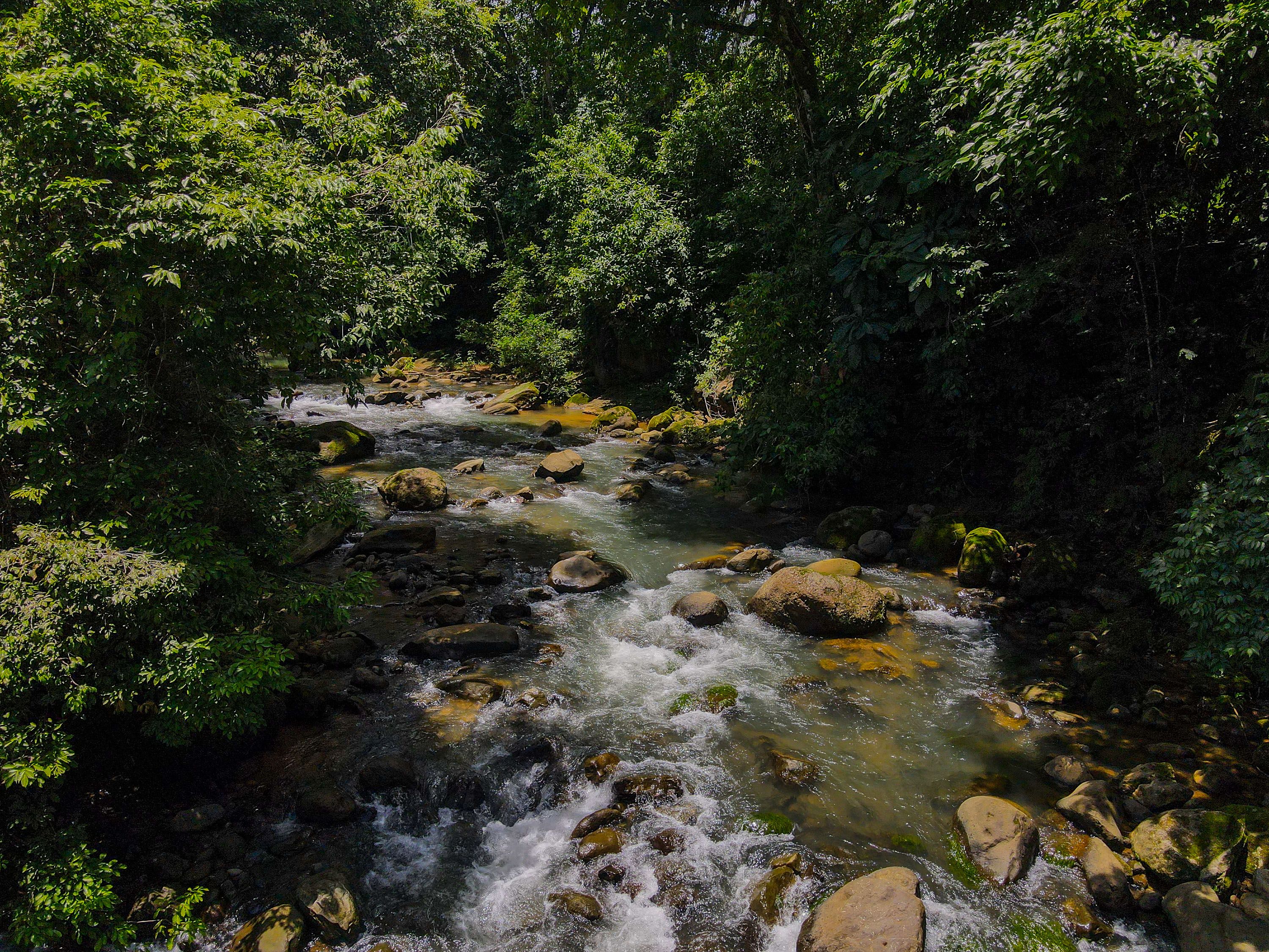 0 bed Land For Sale in Dominical, Puntarenas - thumb 4