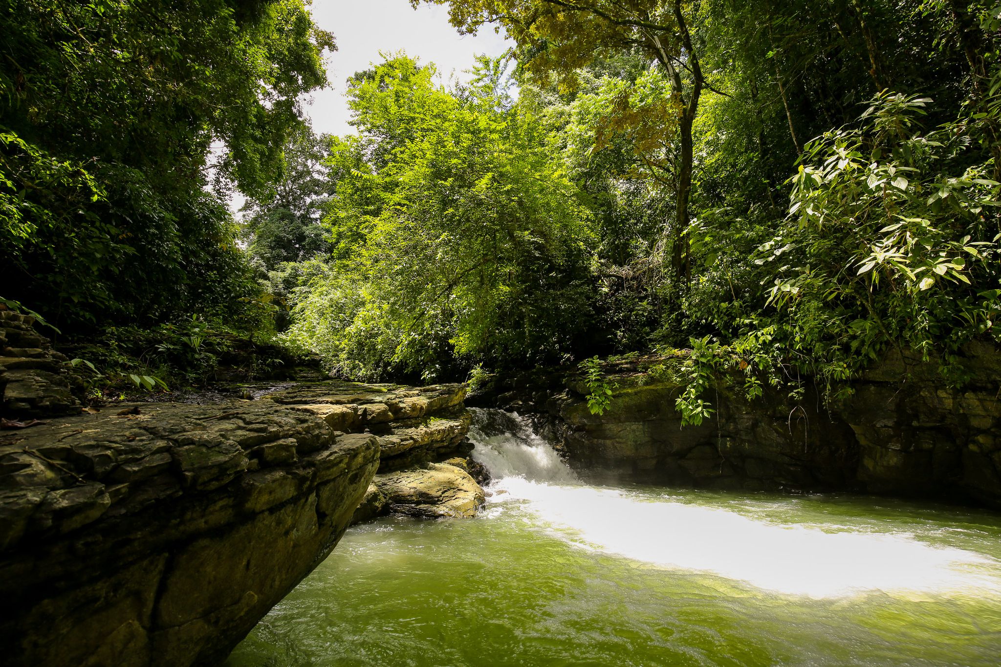 0 bed Land For Sale in Dominical, Puntarenas - thumb 8