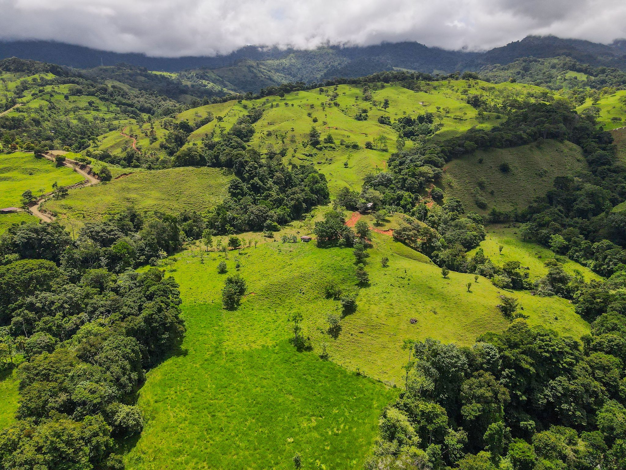 0 bed Land For Sale in Dominical, Puntarenas - thumb 15