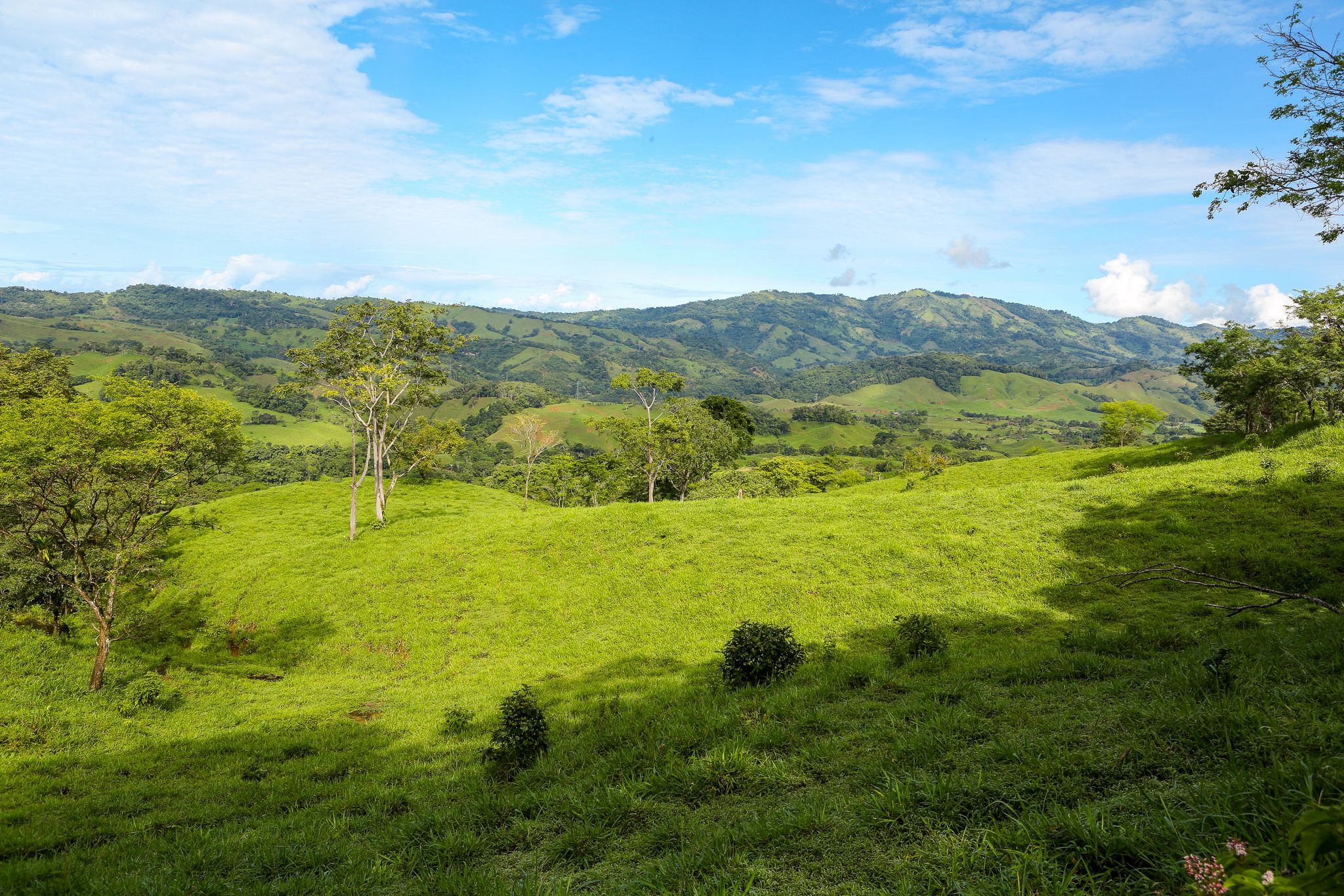 0 bed Land For Sale in Dominical, Puntarenas - thumb 1
