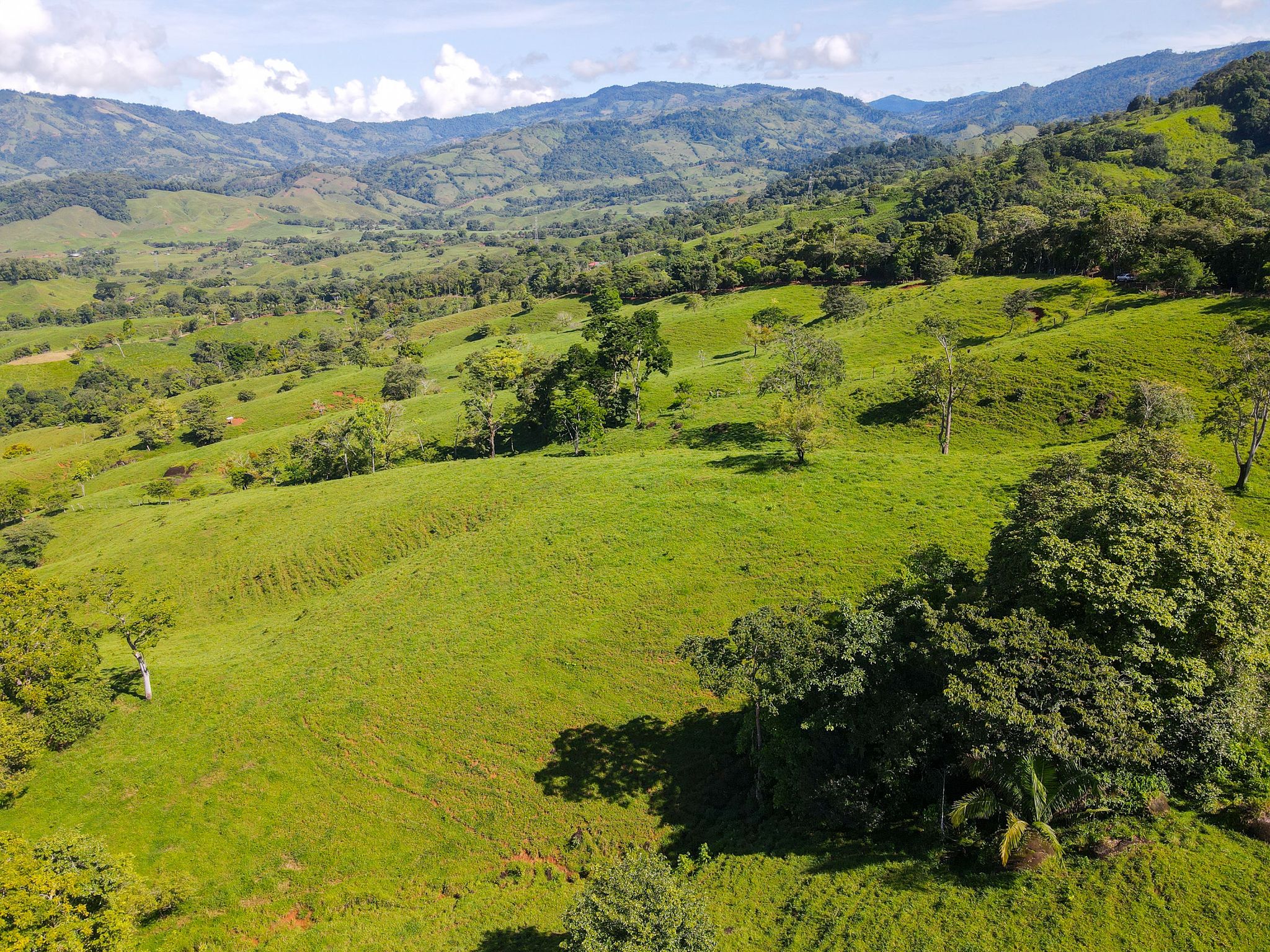0 bed Land For Sale in Dominical, Puntarenas - thumb 11