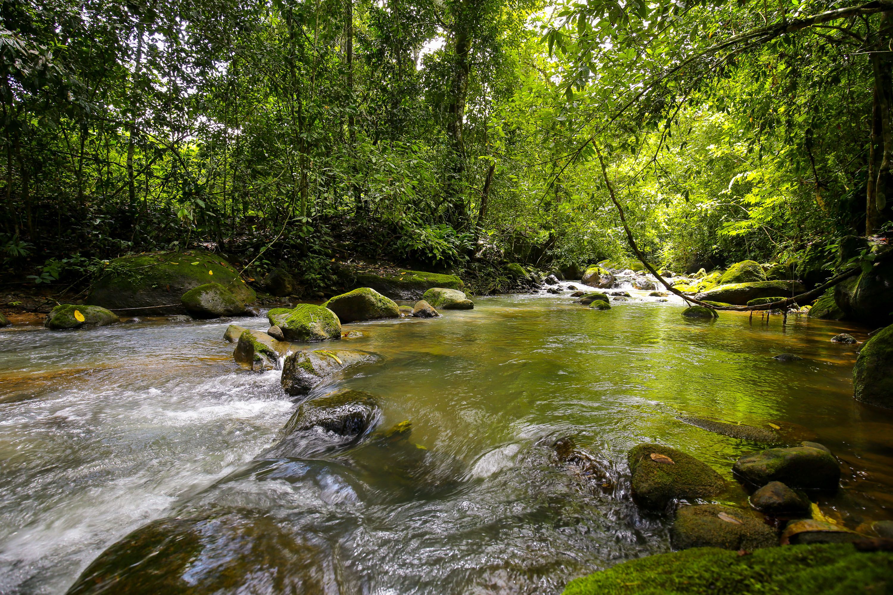 0 bed Land For Sale in Dominical, Puntarenas - thumb 10