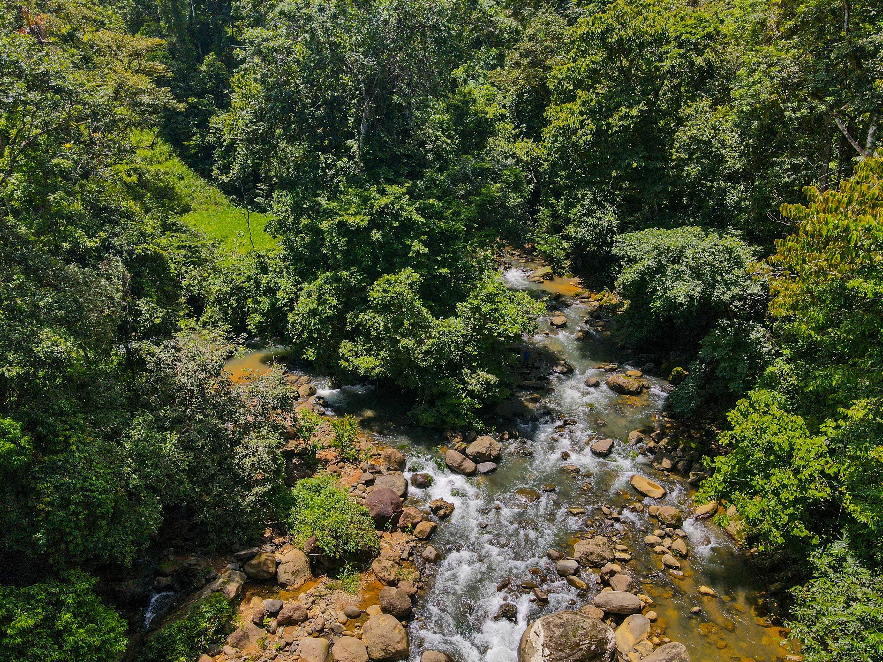0 bed Land For Sale in Dominical, Puntarenas - thumb 3