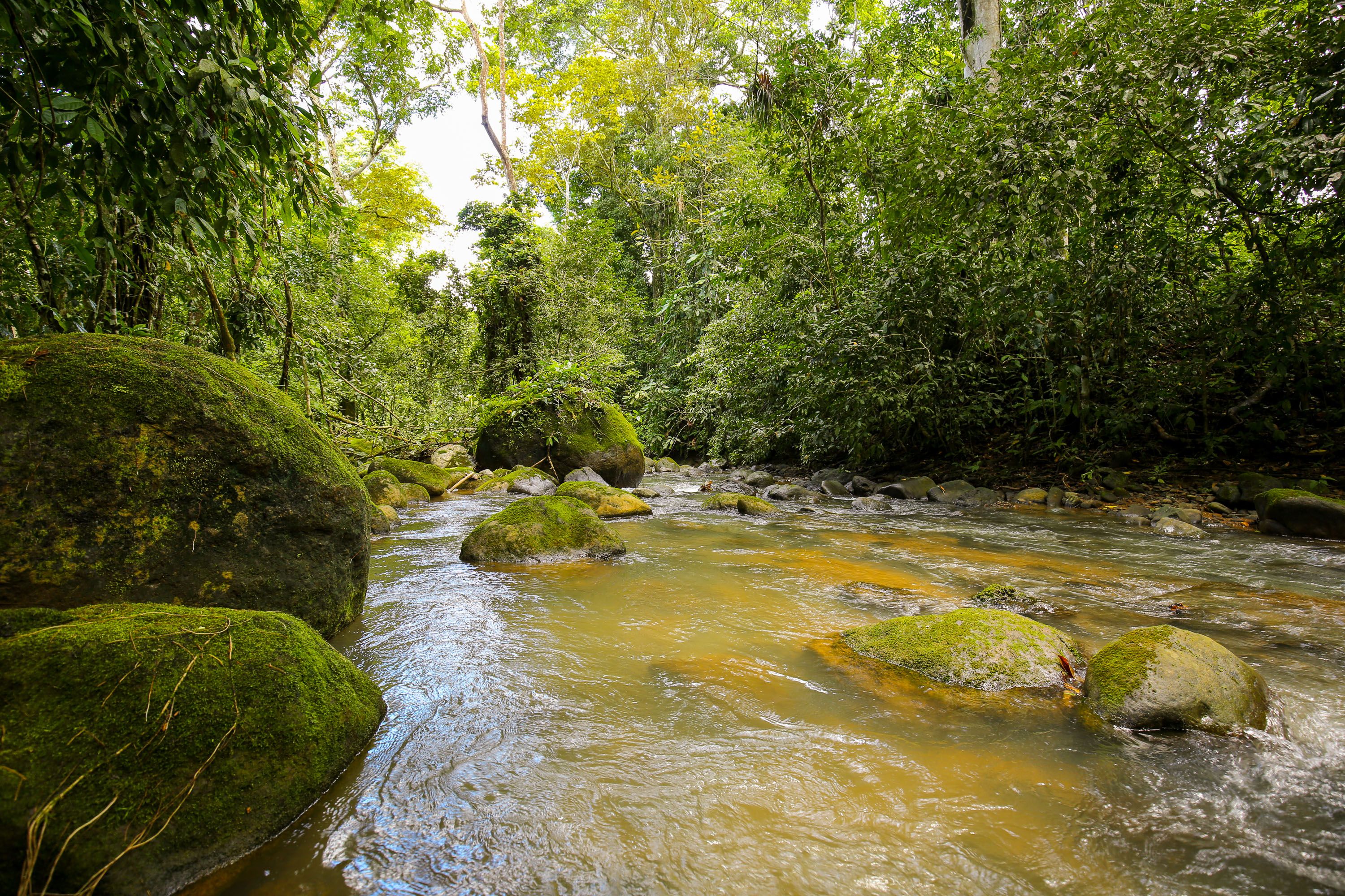 0 bed Land For Sale in Dominical, Puntarenas - thumb 6