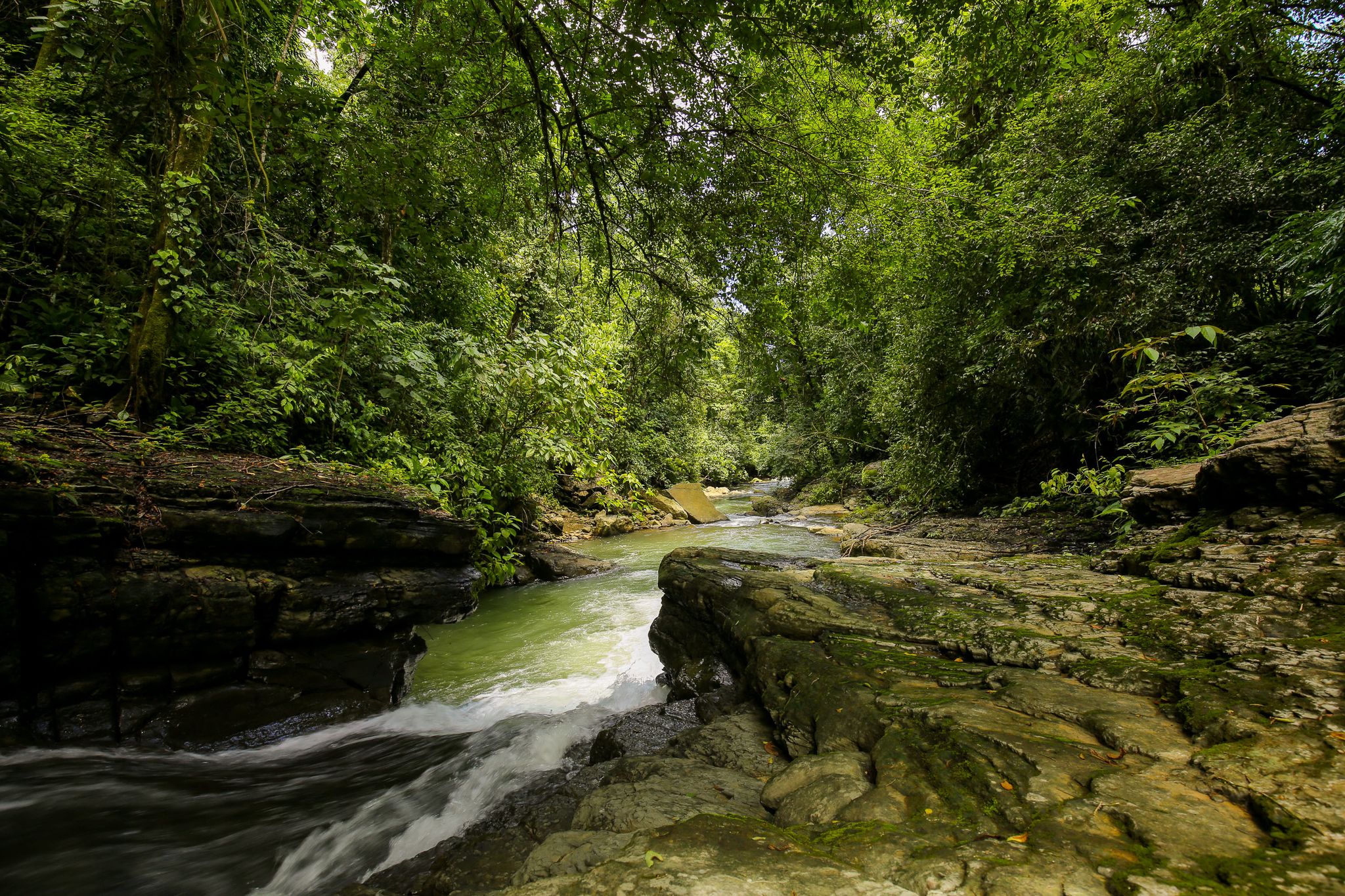 0 bed Land For Sale in Dominical, Puntarenas - thumb 9