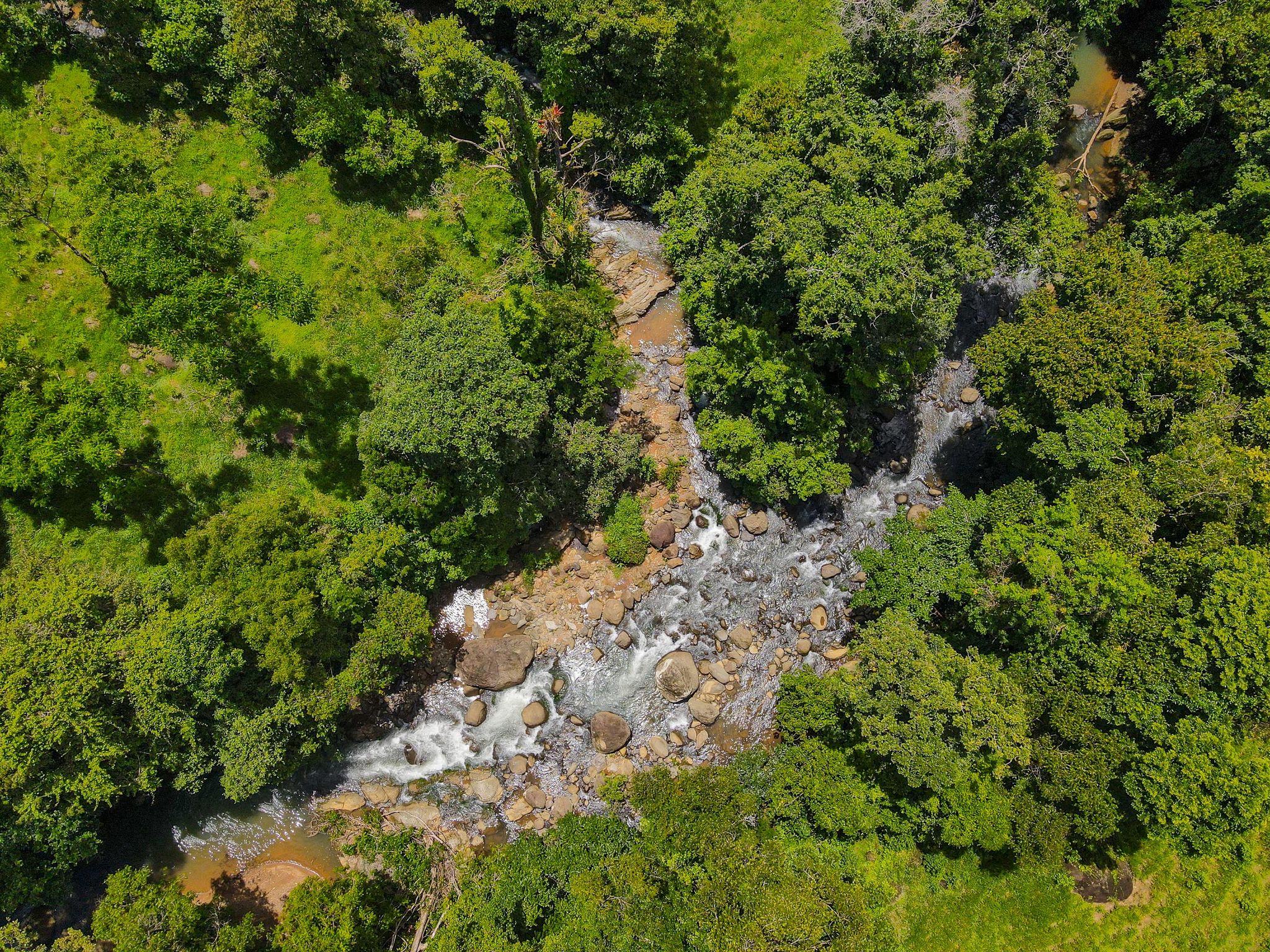 0 bed Land For Sale in Dominical, Puntarenas - thumb 16