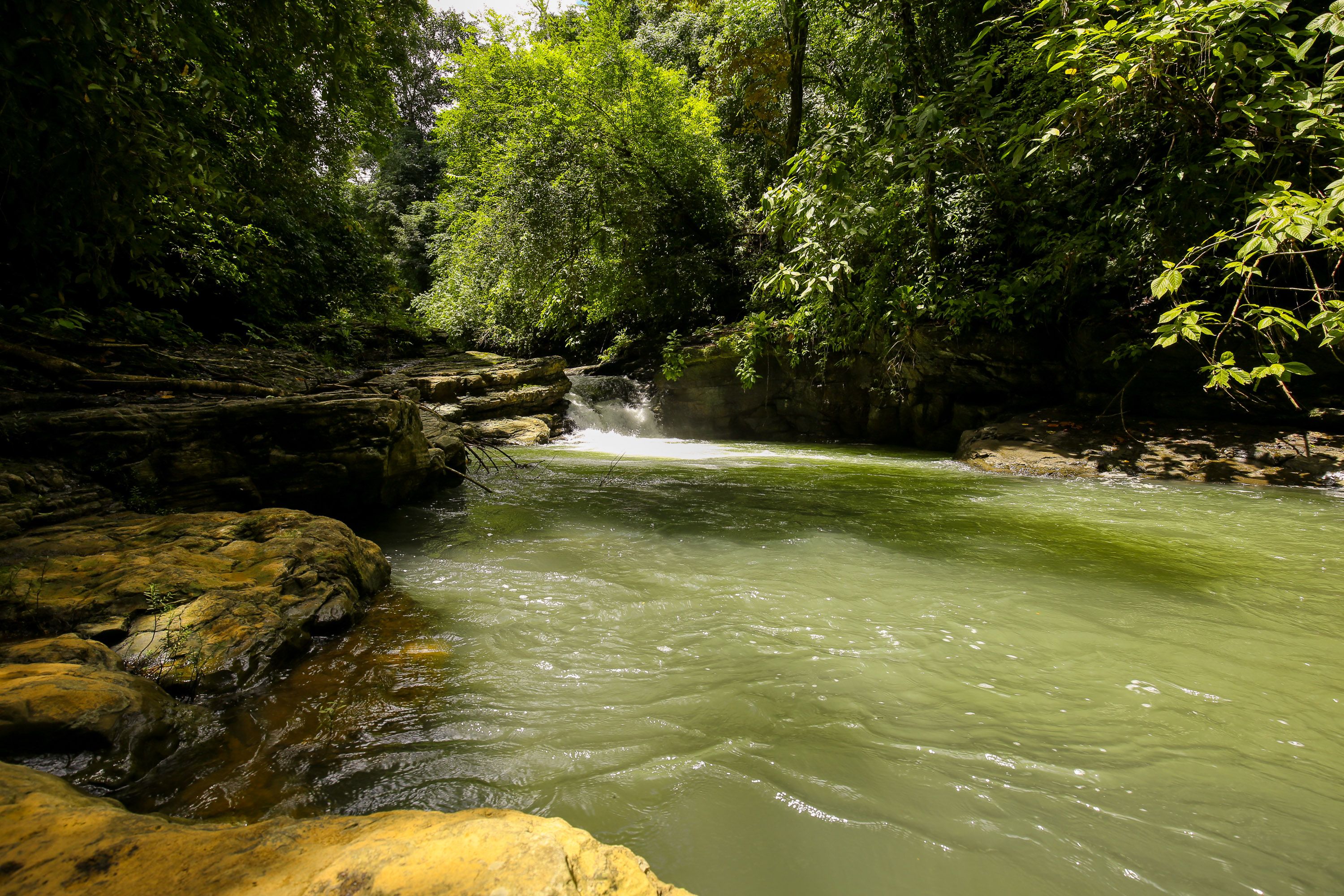 0 bed Land For Sale in Dominical, Puntarenas - thumb 7