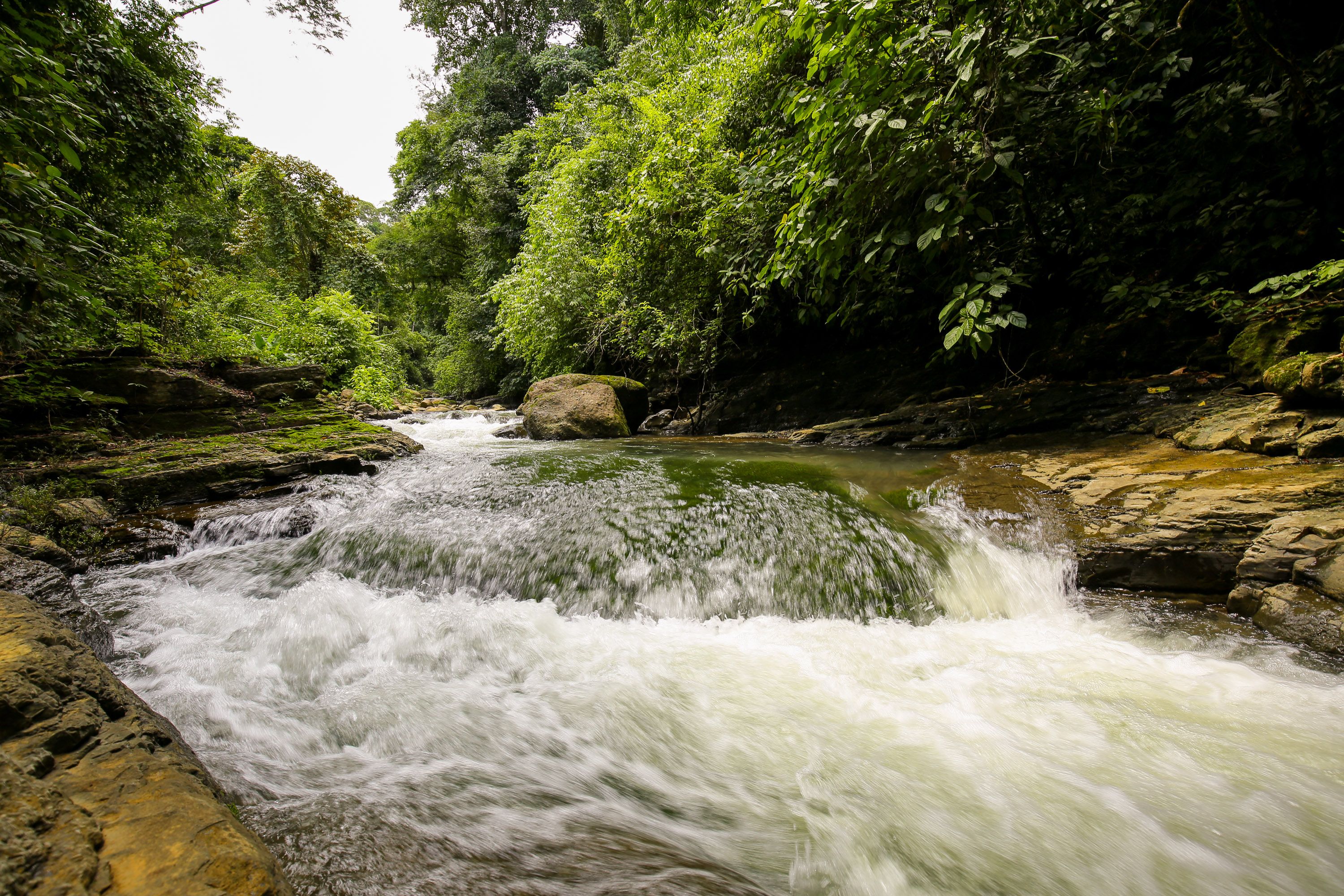 0 bed Land For Sale in Dominical, Puntarenas - thumb 2