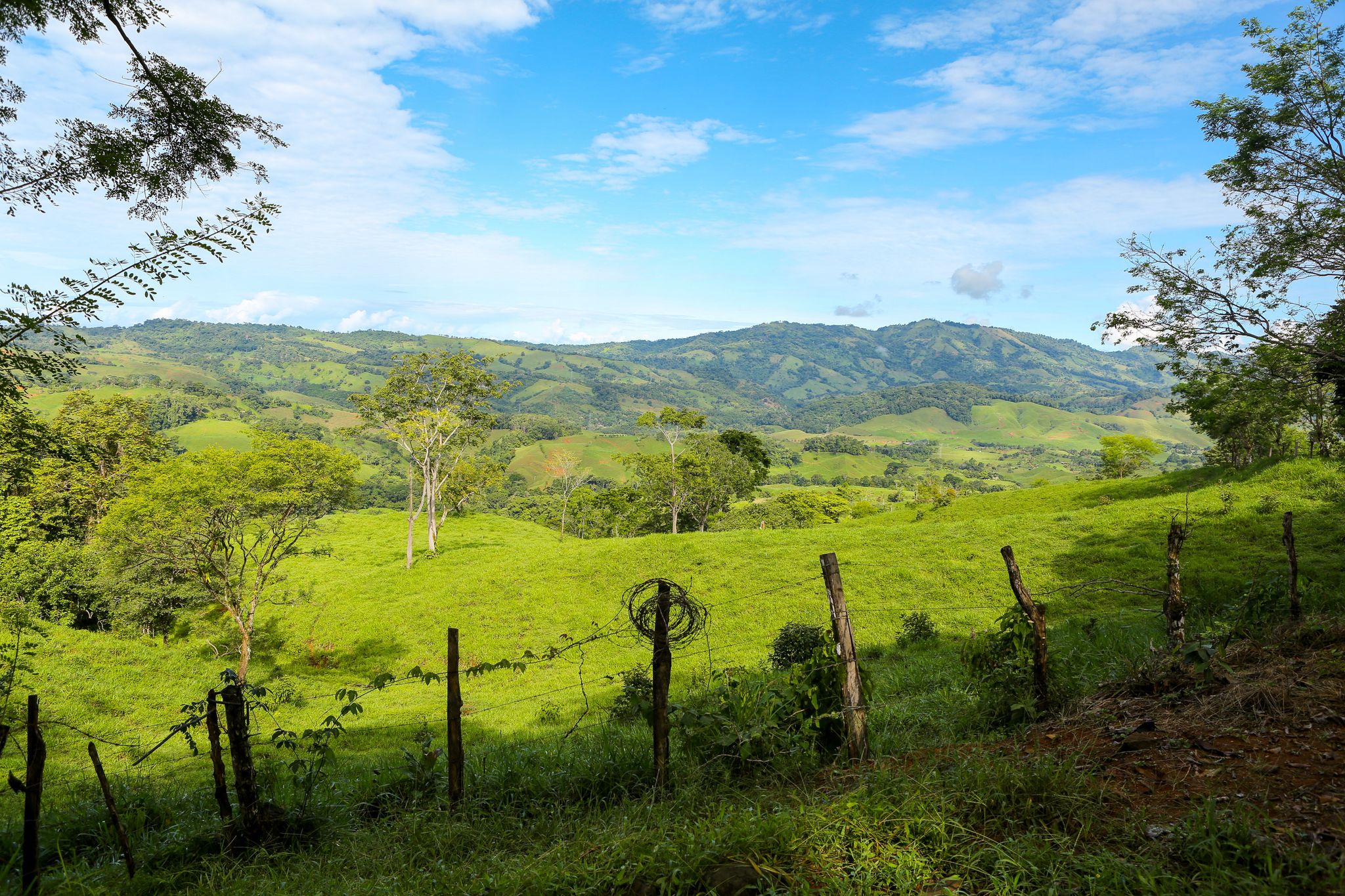 0 bed Land For Sale in Dominical, Puntarenas - thumb 13