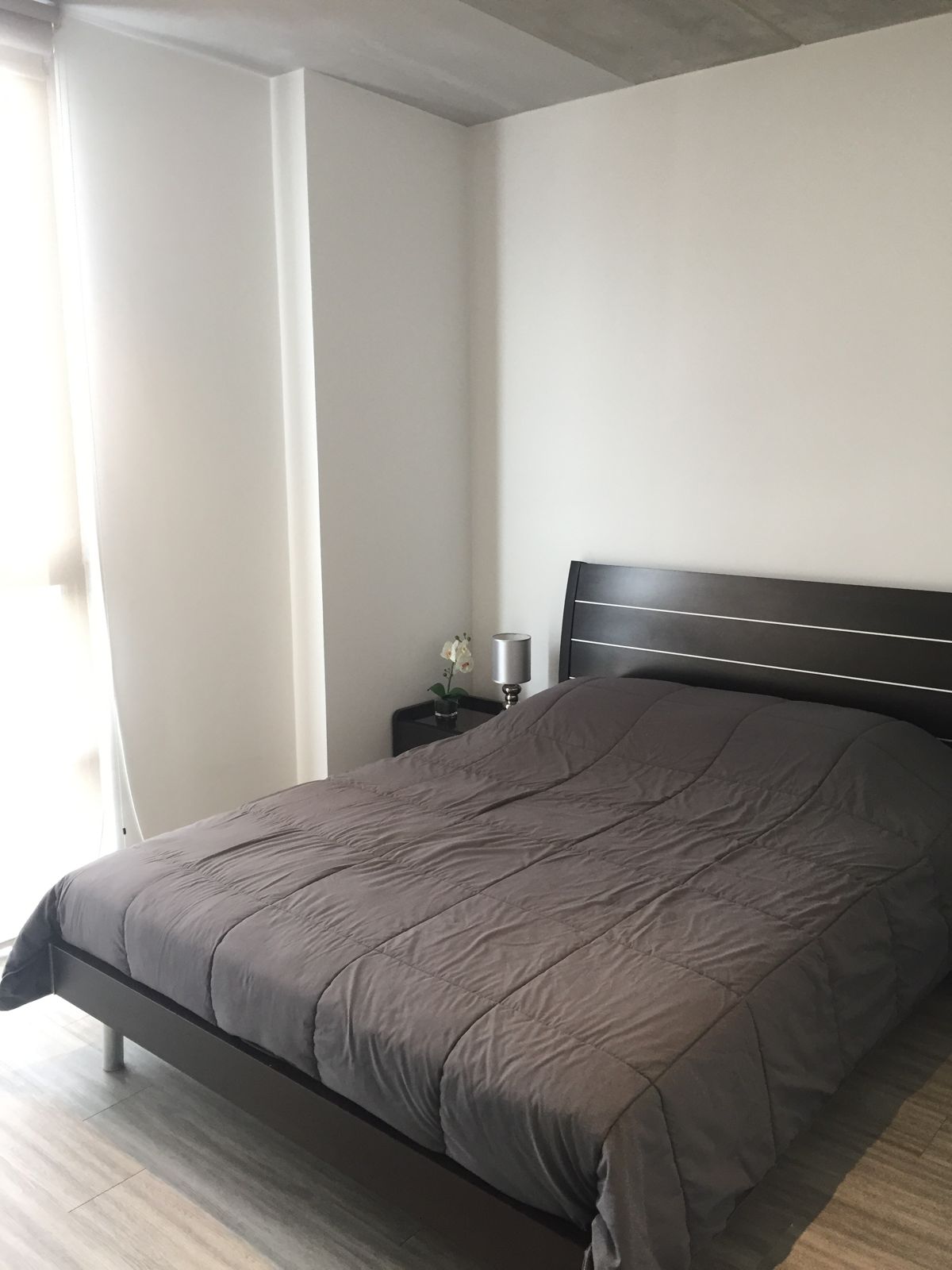 1 bed Condo For Rent in San Jose, San Jose - thumb 1