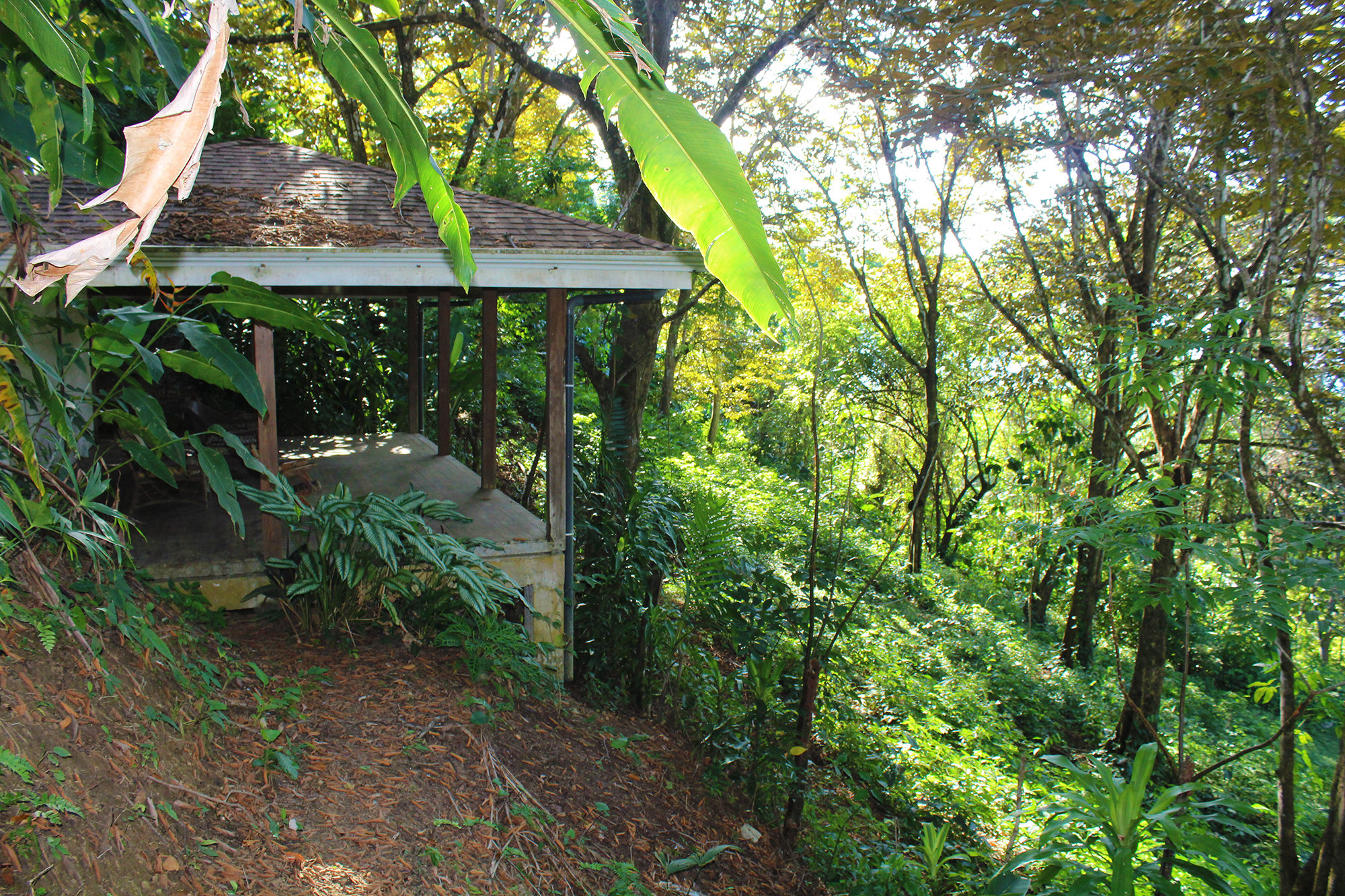 8 bed Hotel / Leisure For Sale in Pavones, Puntarenas - thumb 16
