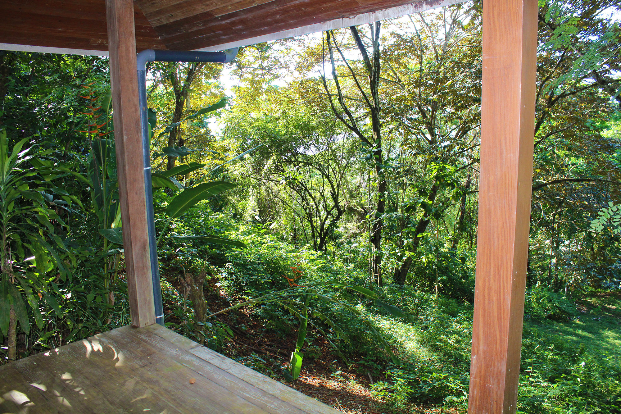 8 bed Hotel / Leisure For Sale in Pavones, Puntarenas - thumb 17
