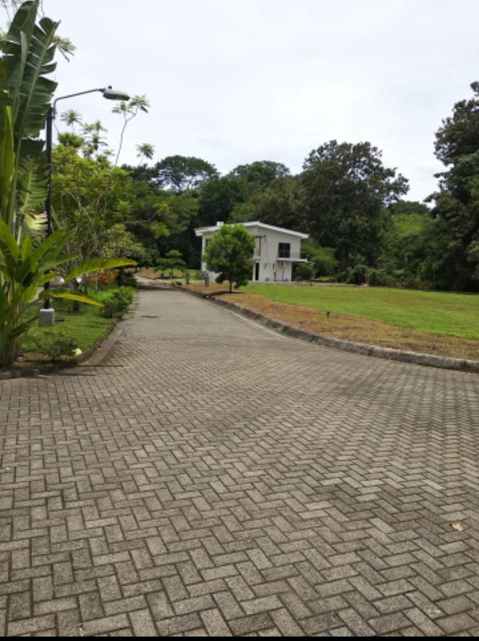 0 bed Land For Sale in Punta Leona, Puntarenas - thumb 7
