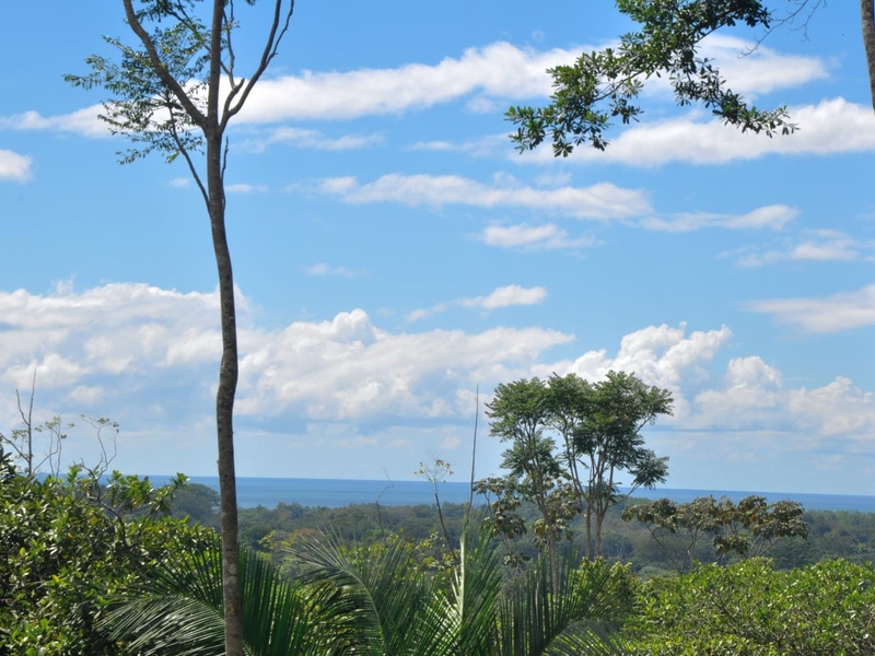 0 bed Land For Sale in Uvita, Puntarenas - 1