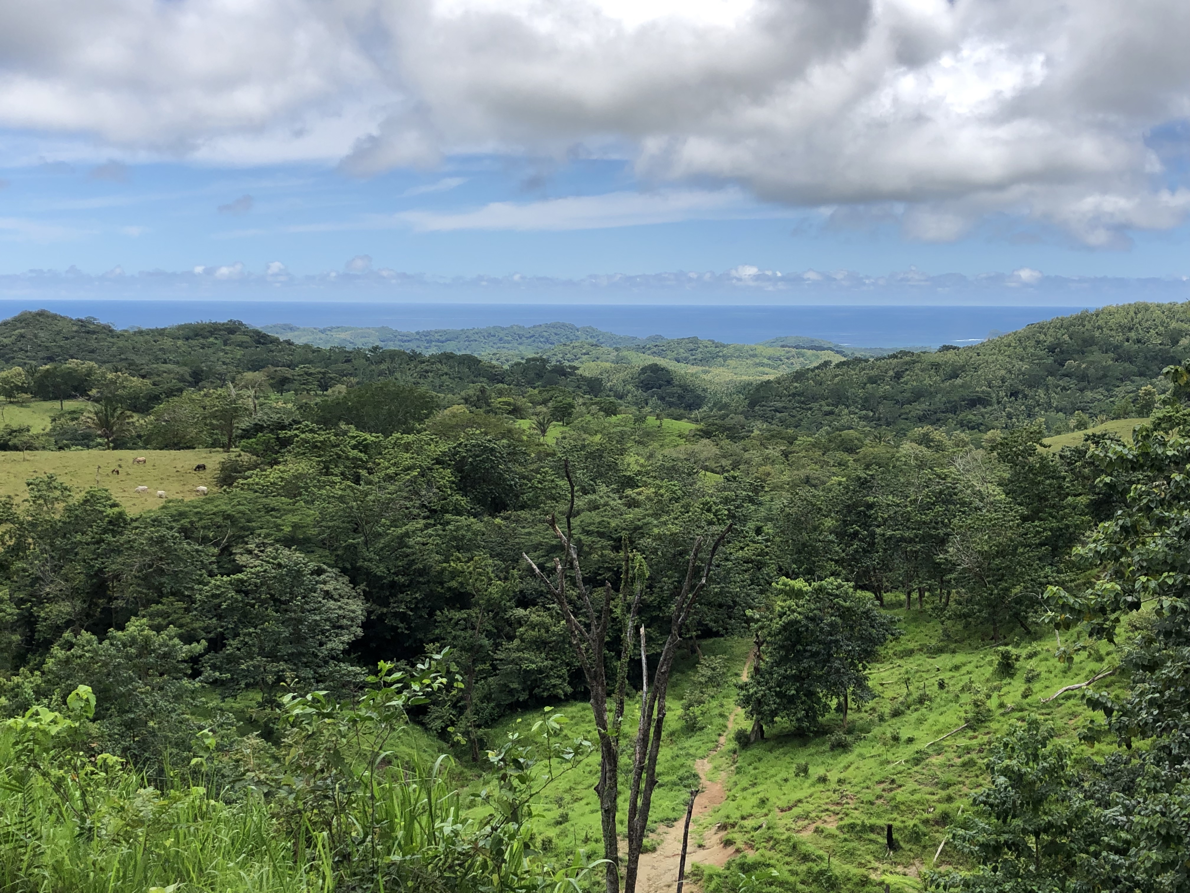 0 bed Land For Sale in Samara, Guanacaste - thumb 14
