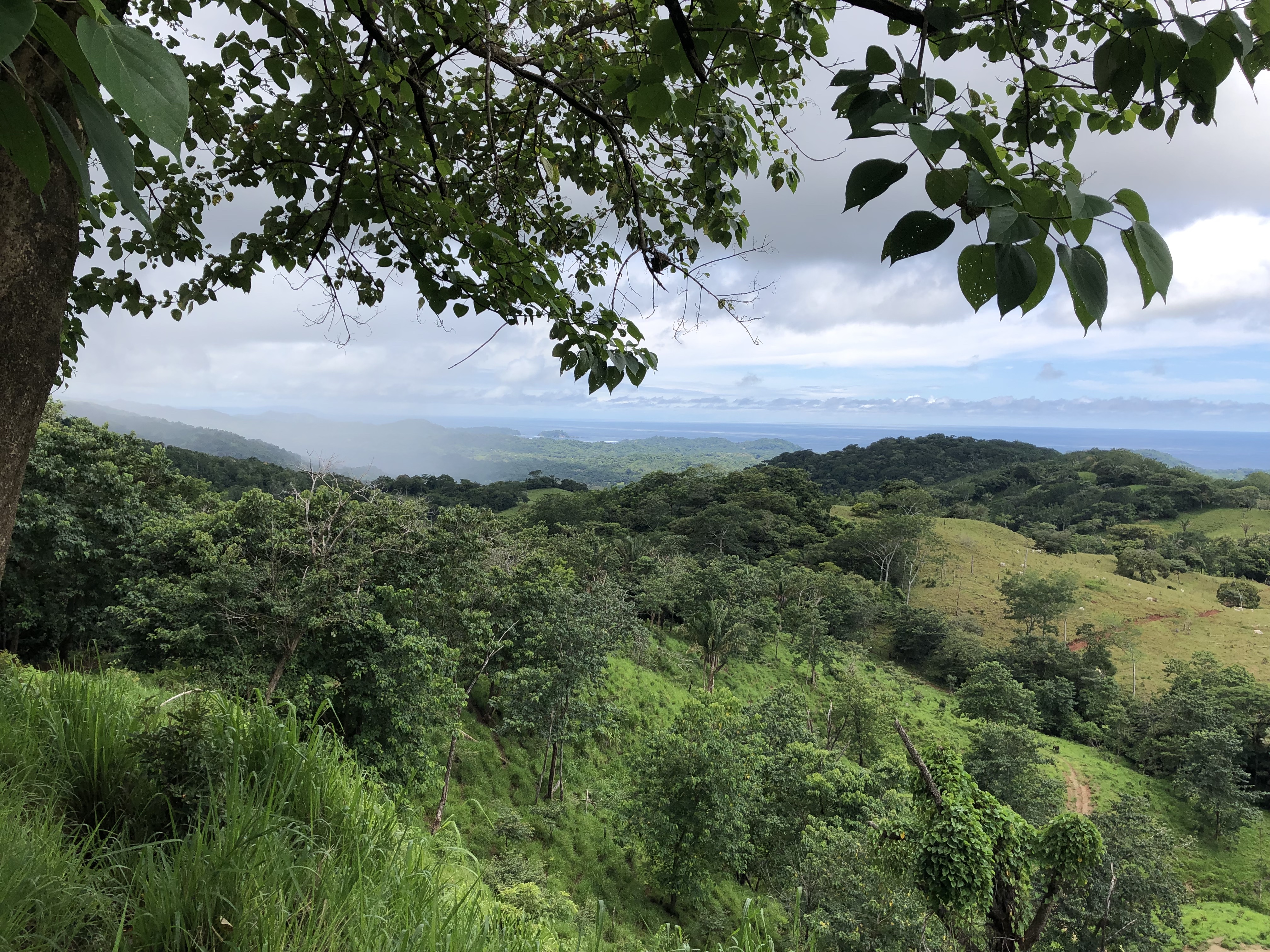 0 bed Land For Sale in Samara, Guanacaste - thumb 13