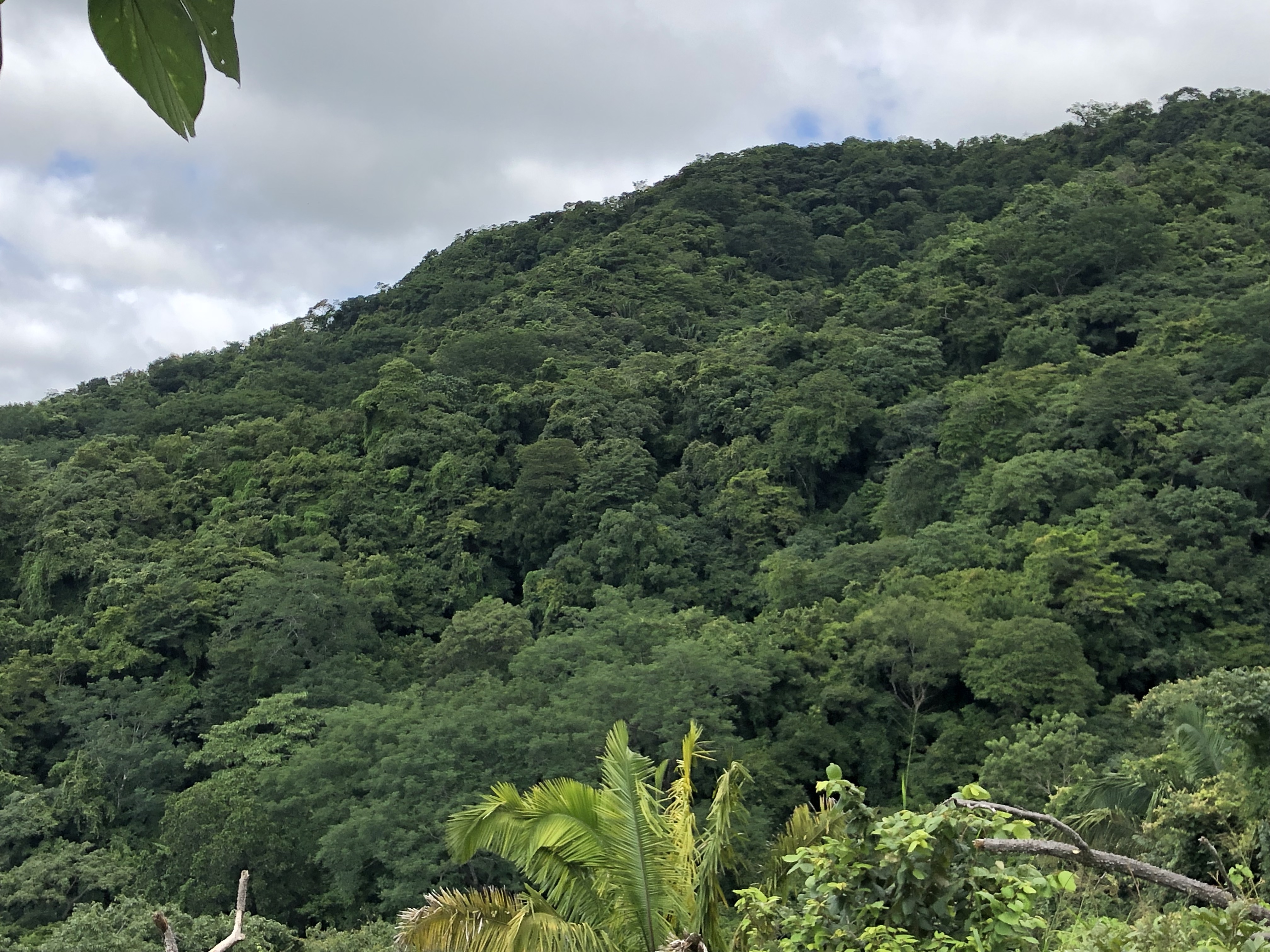 0 bed Land For Sale in Samara, Guanacaste - thumb 20