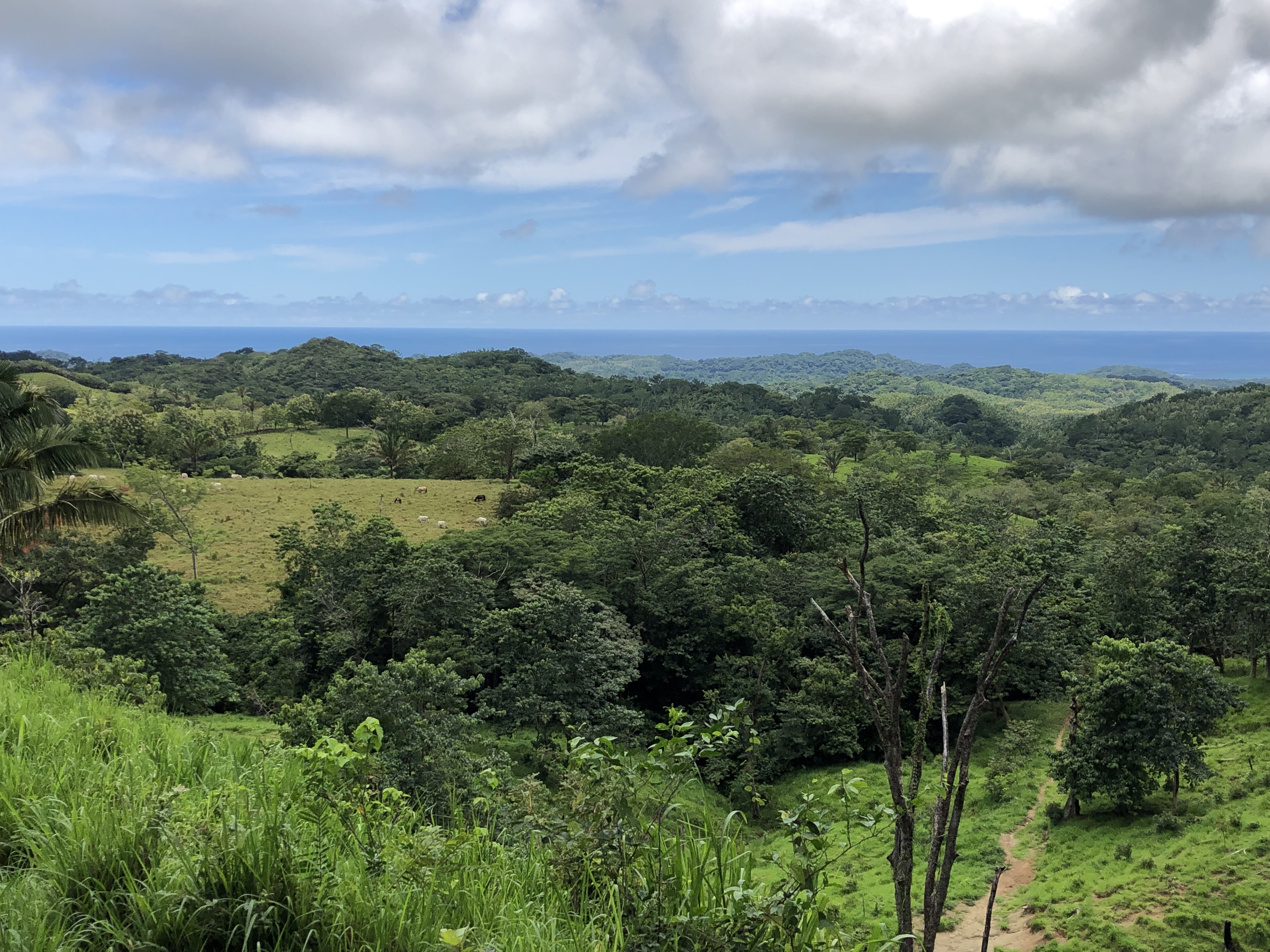 0 bed Land For Sale in Samara, Guanacaste - thumb 5